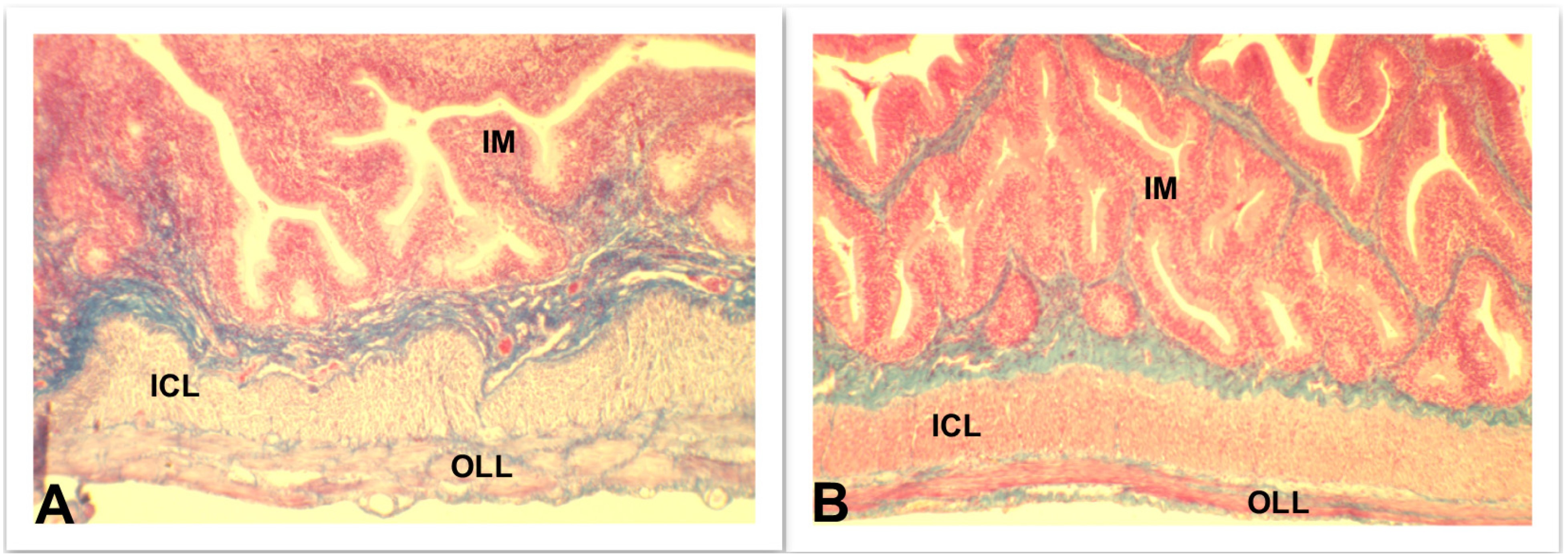 Fishes 08 00166 g002