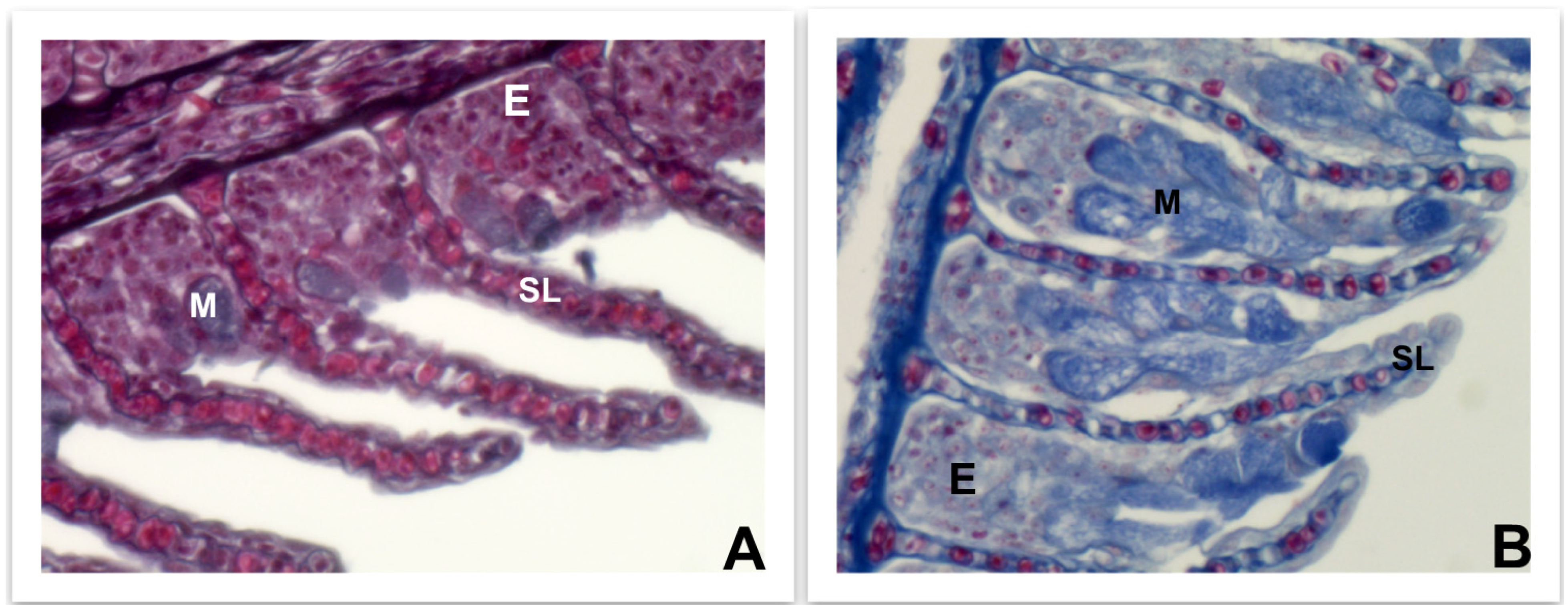 Fishes 08 00166 g003