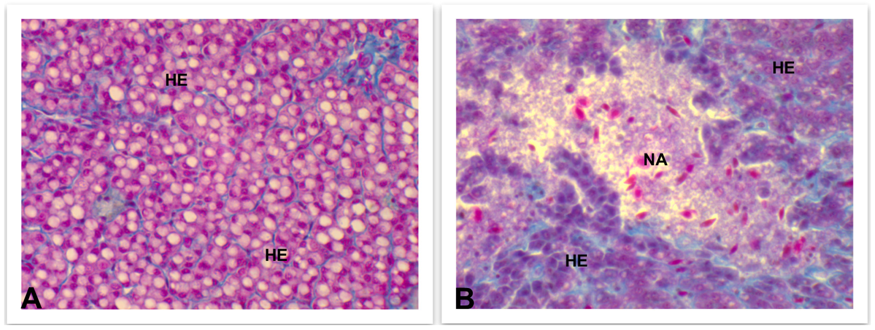 Fishes 08 00166 g005