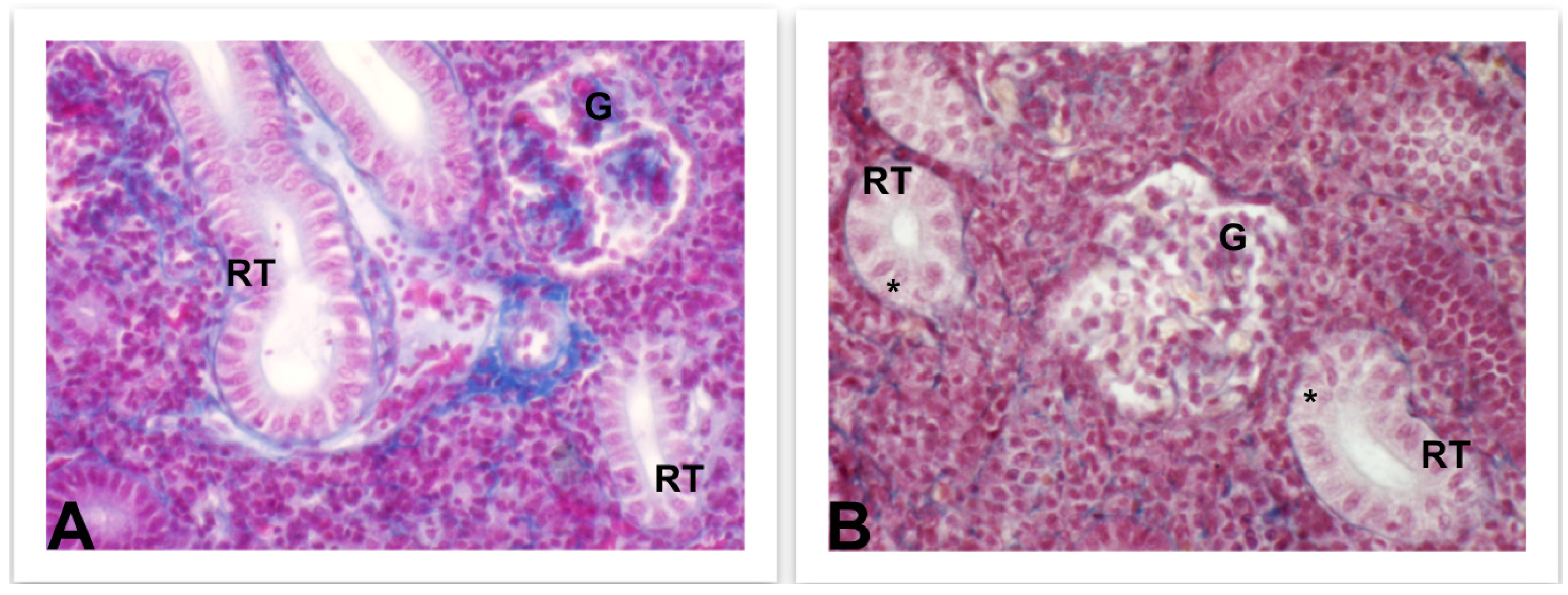 Fishes 08 00166 g006