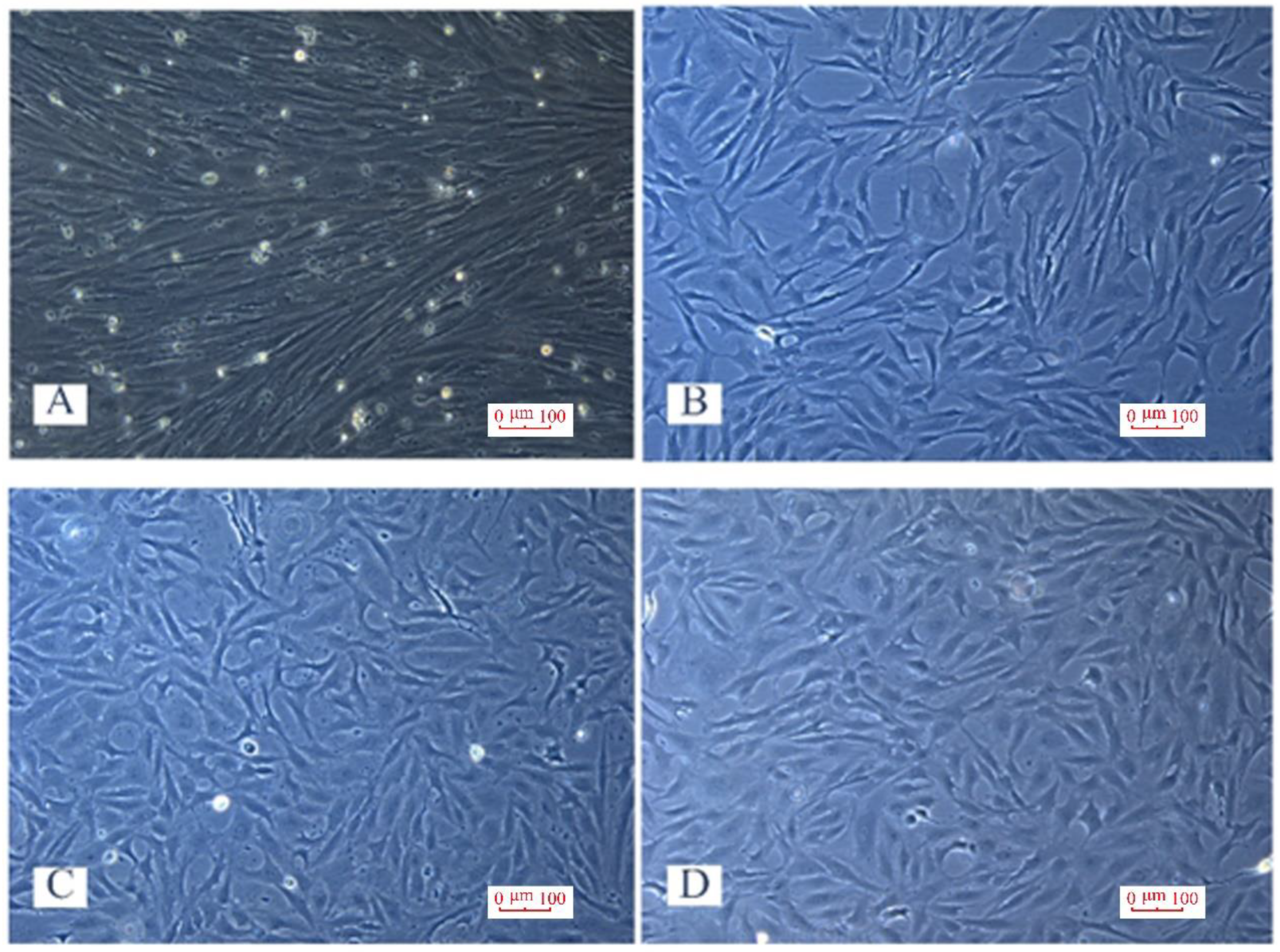 Fishes 08 00167 g001