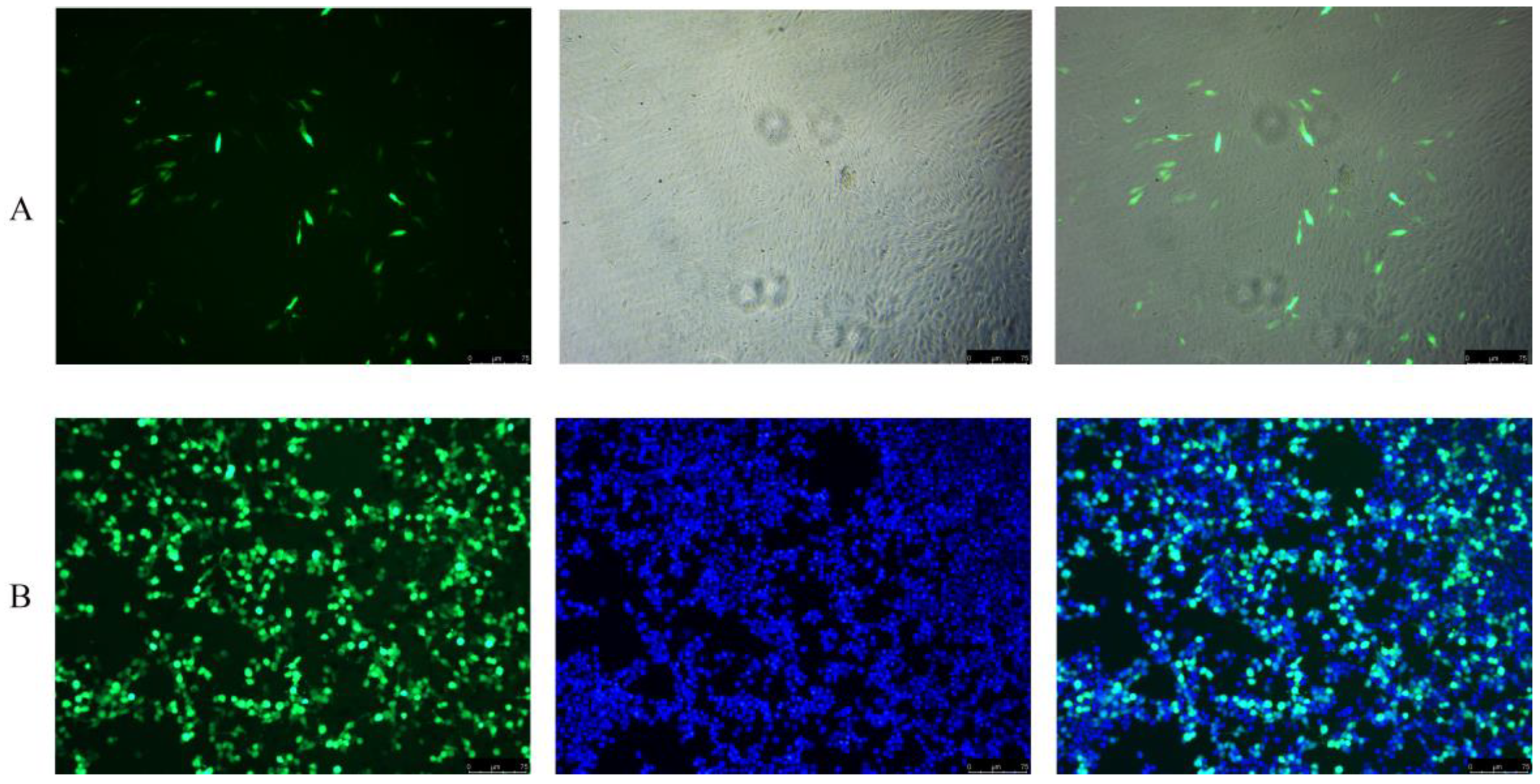 Fishes 08 00167 g005