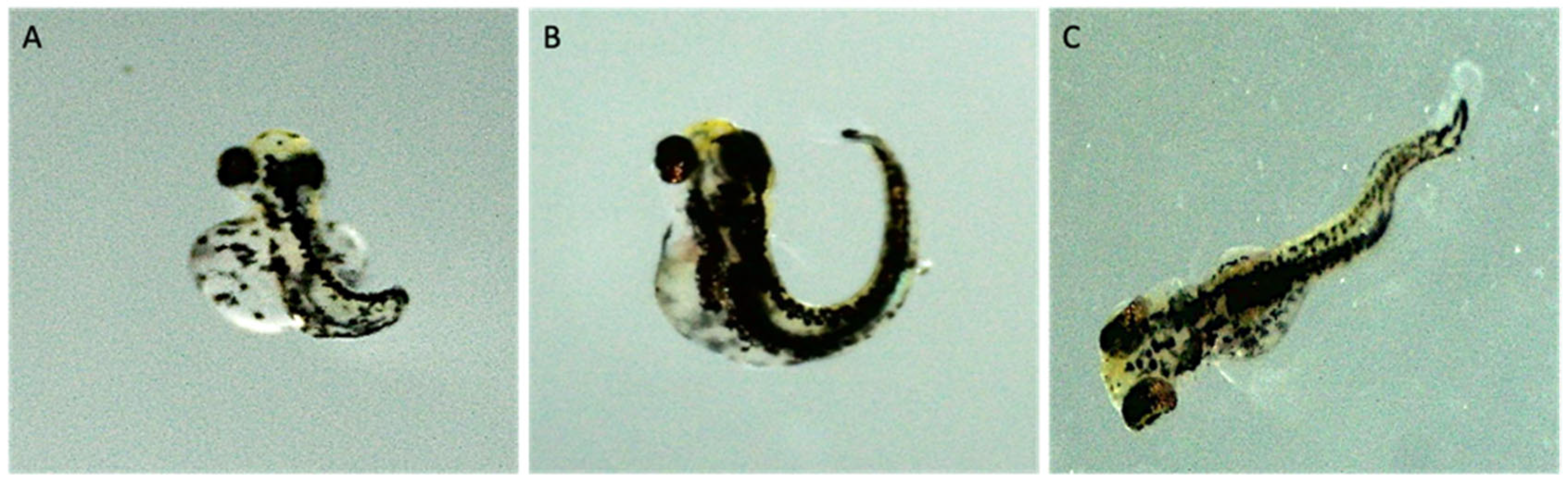 Fishes 08 00168 g003 Fishes 08 00168 g003