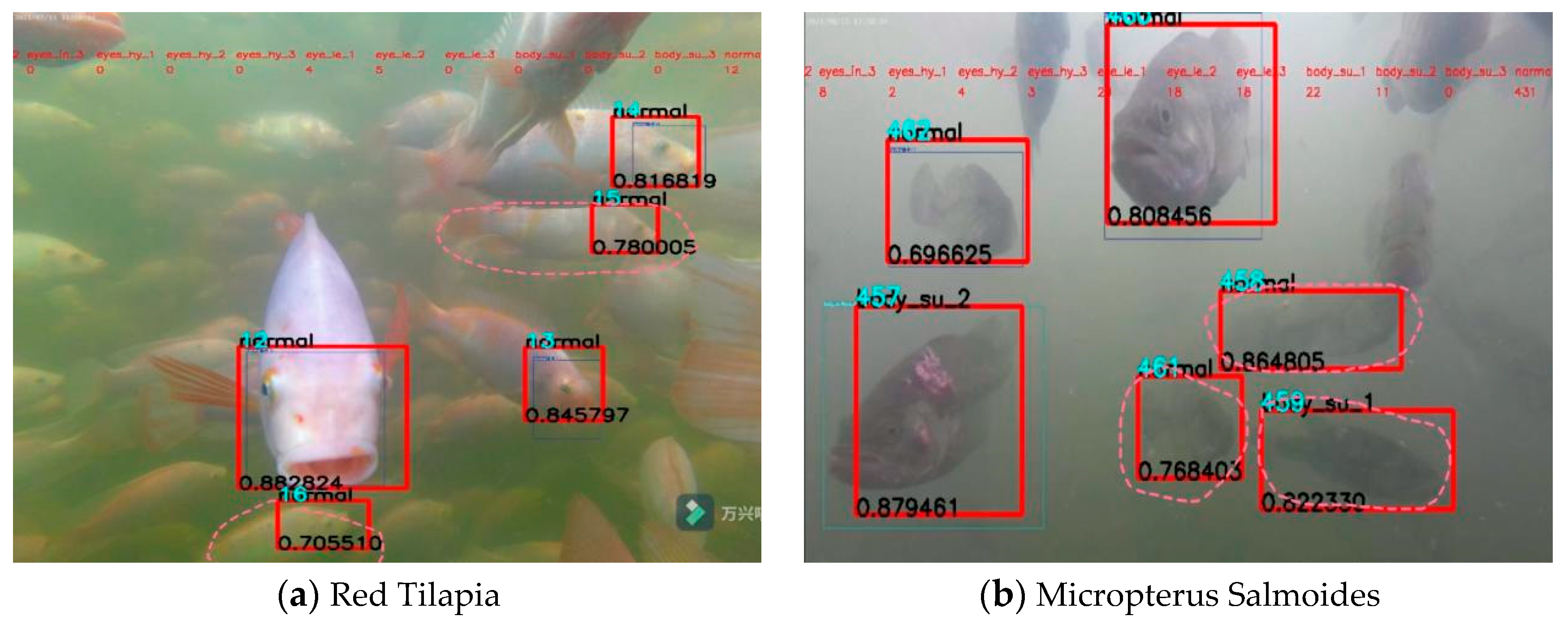 Fishes 08 00169 g012