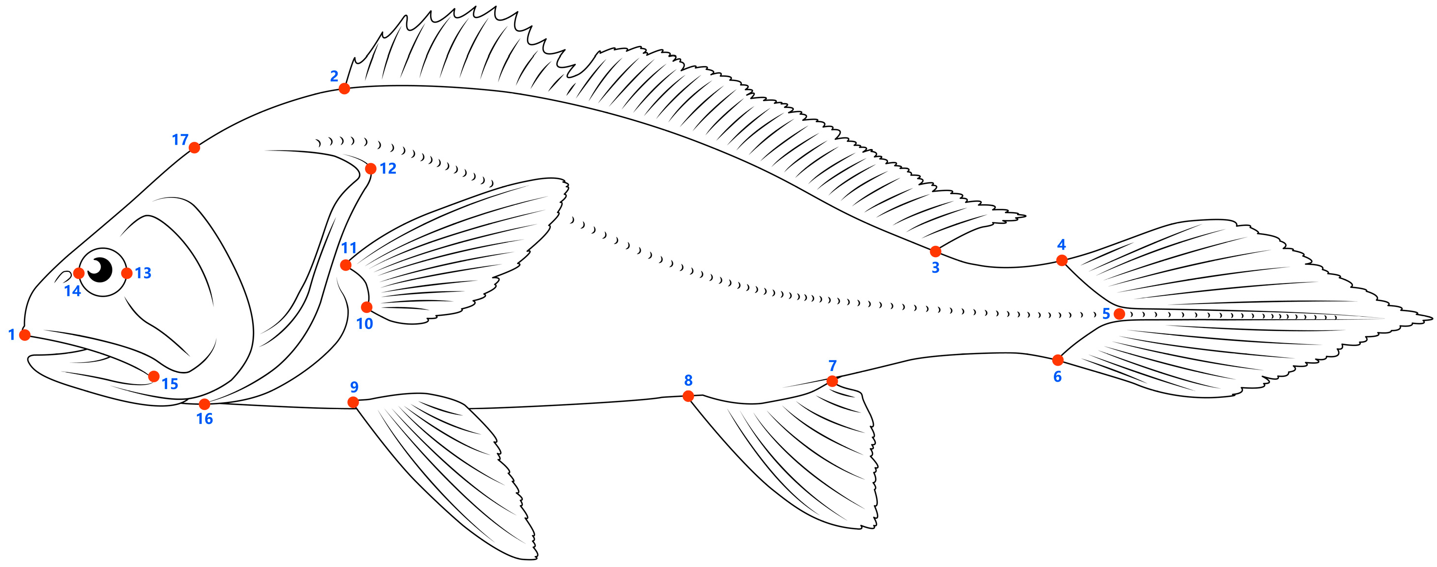 Fishes 08 00173 g002 Fishes 08 00173 g002