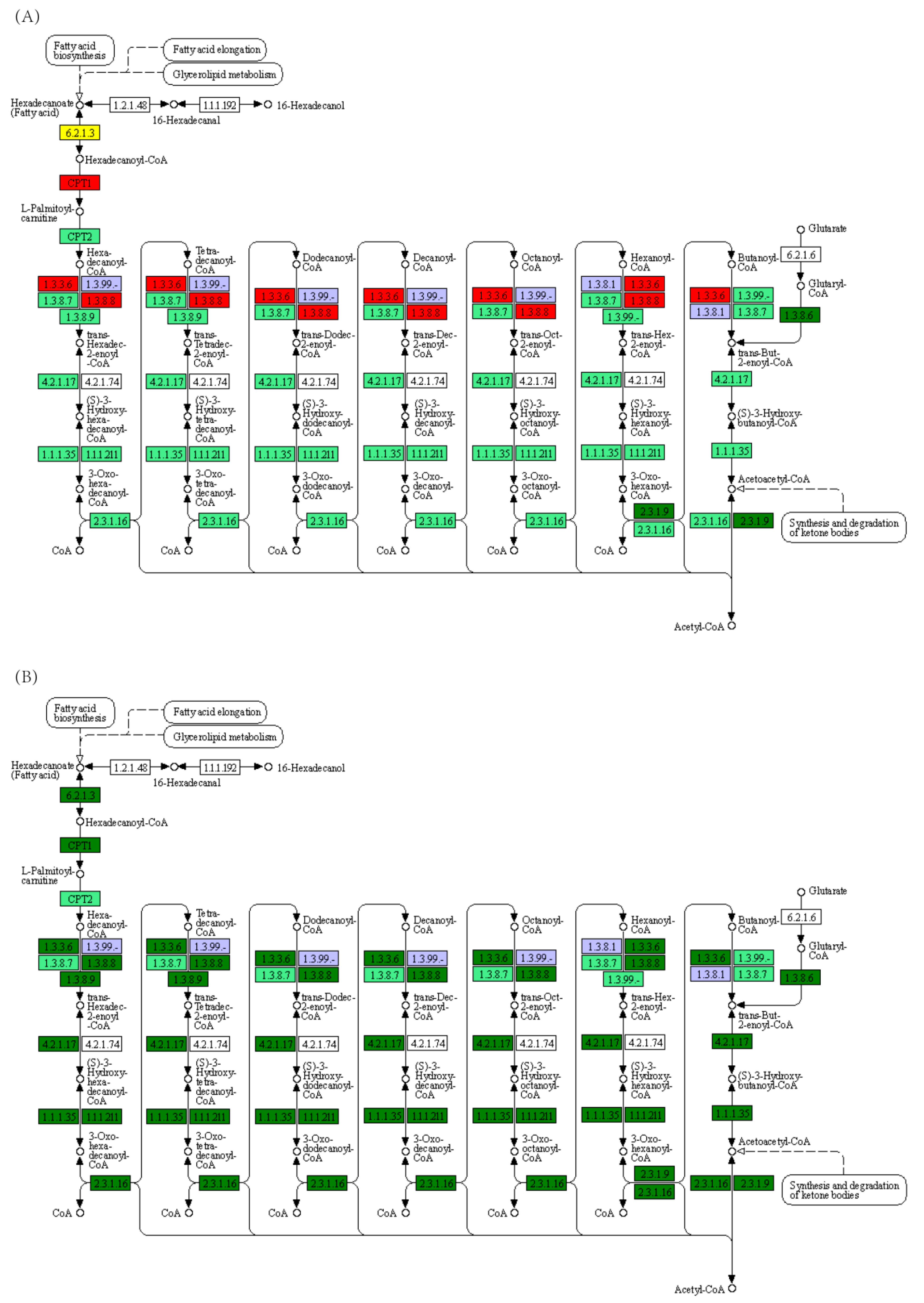 Fishes 08 00175 g009