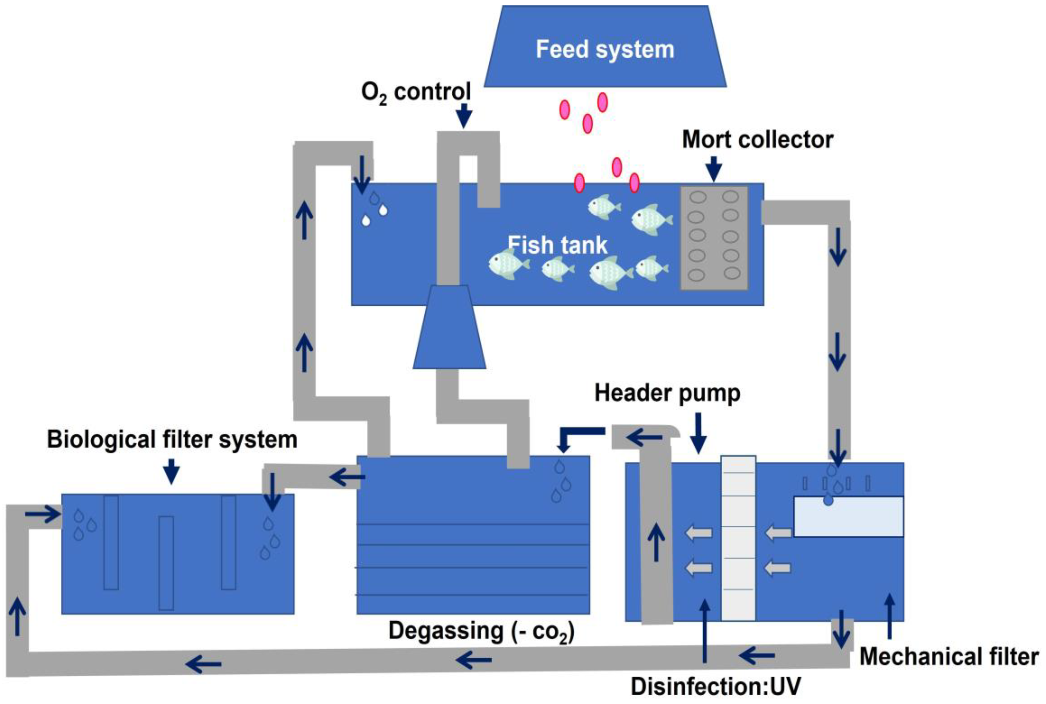 Fishes 08 00176 g002
