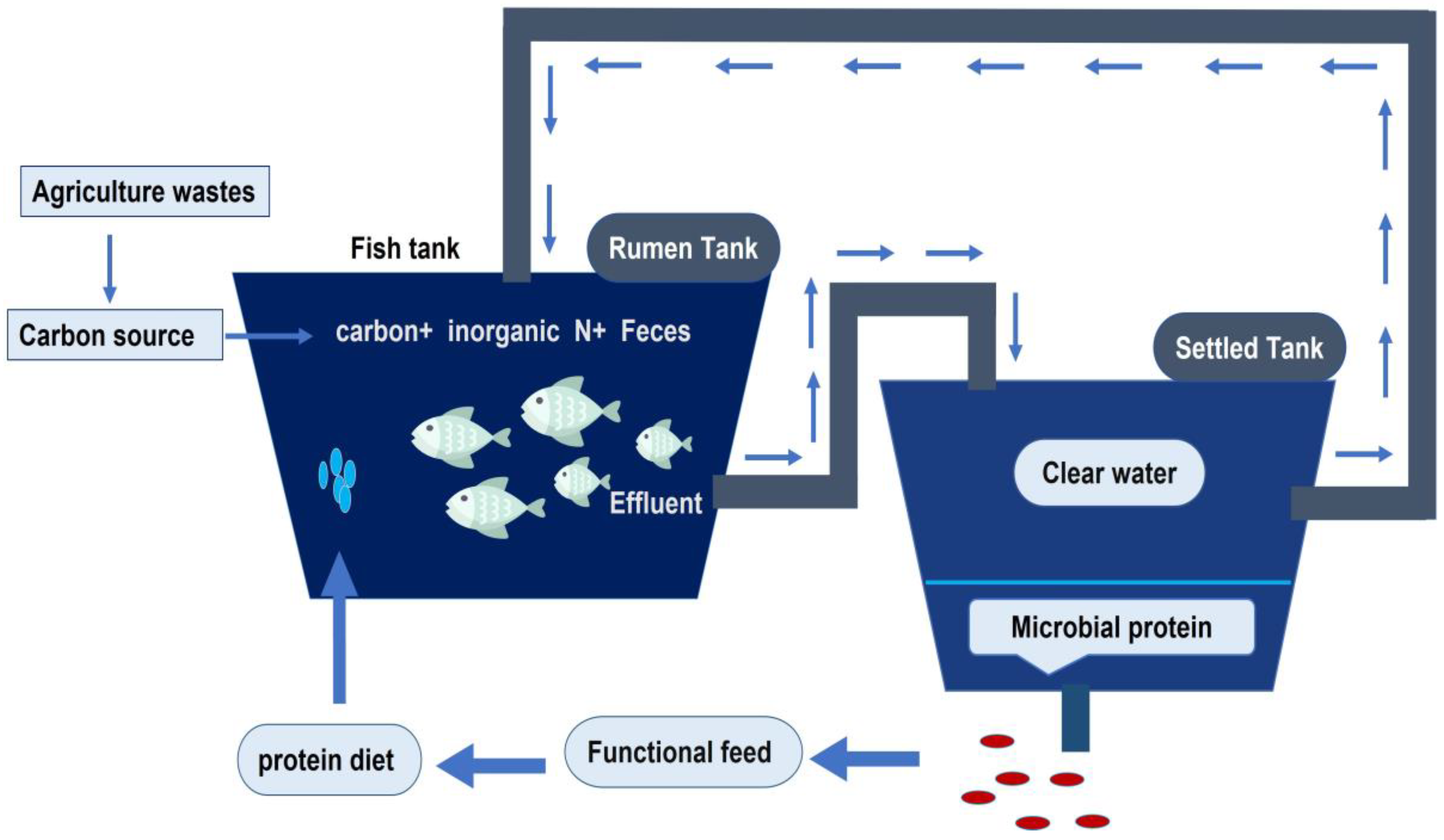 Fishes 08 00176 g003