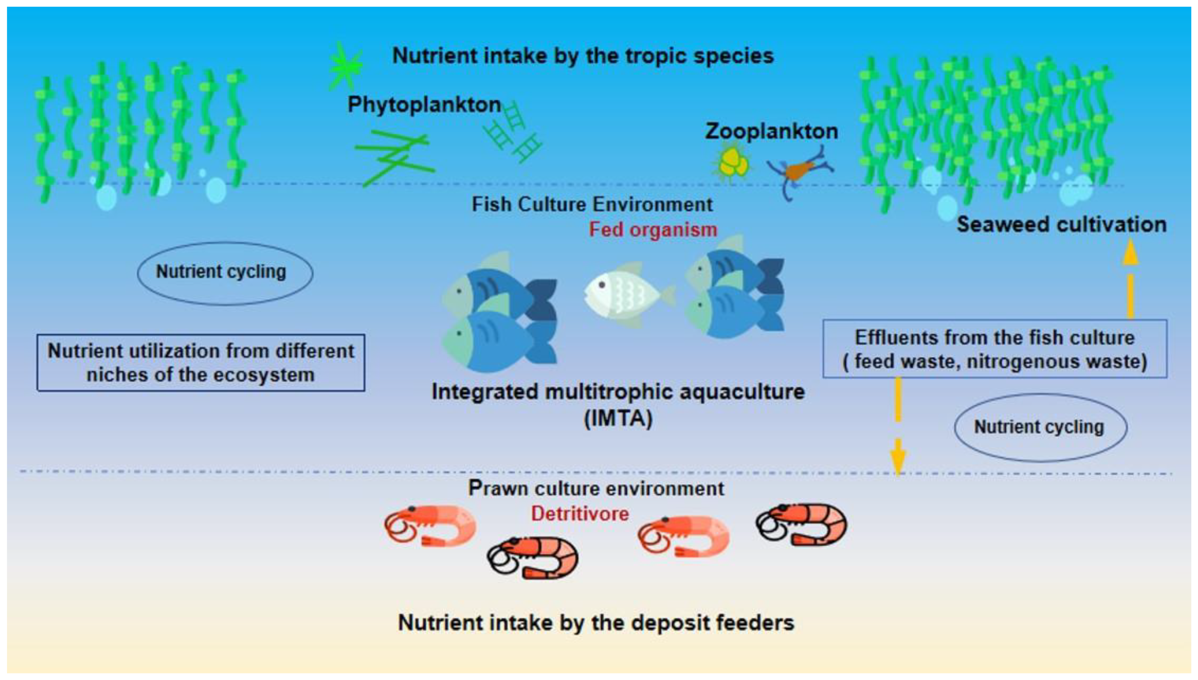 Fishes 08 00176 g004