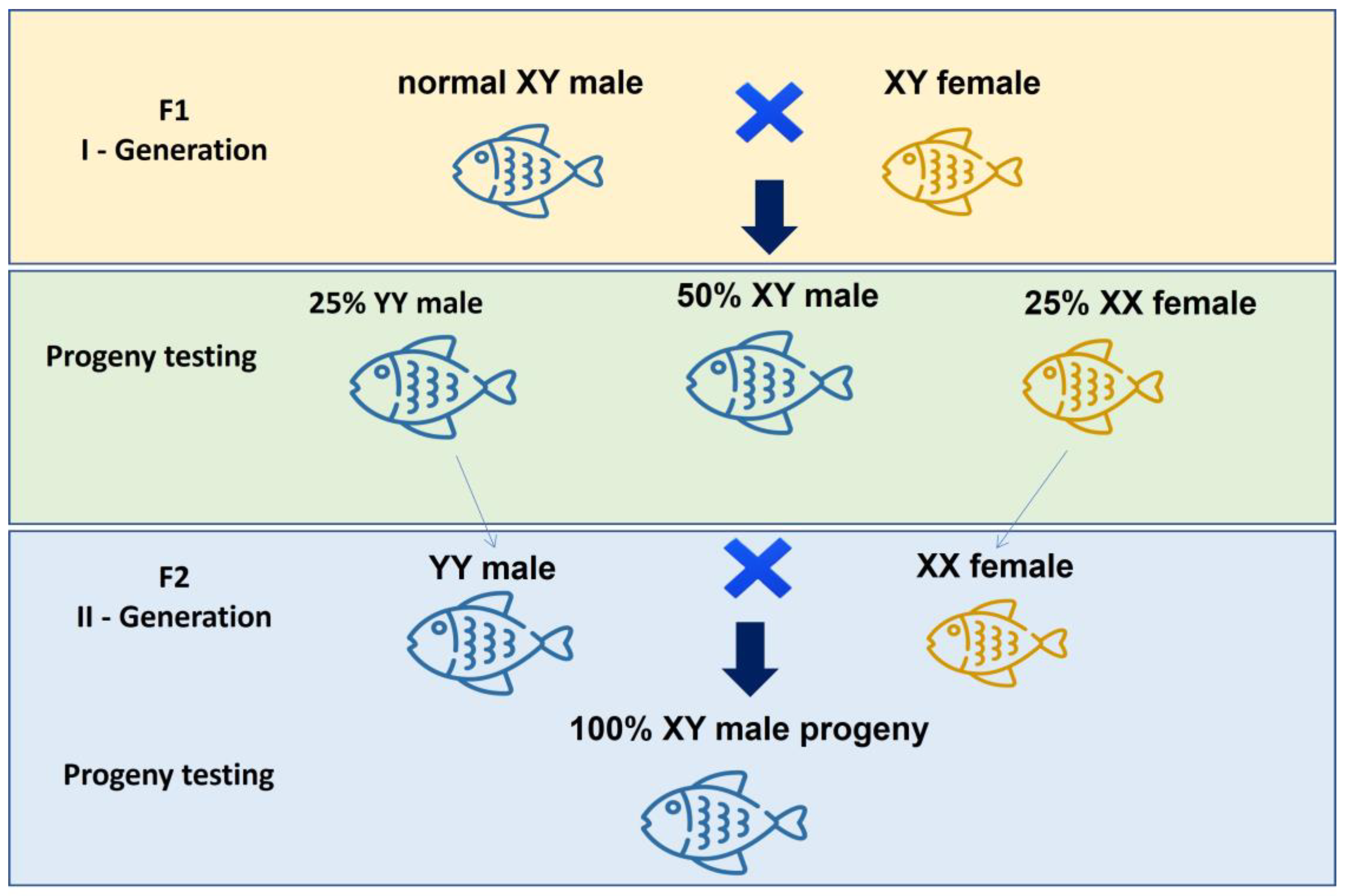 Fishes 08 00176 g005