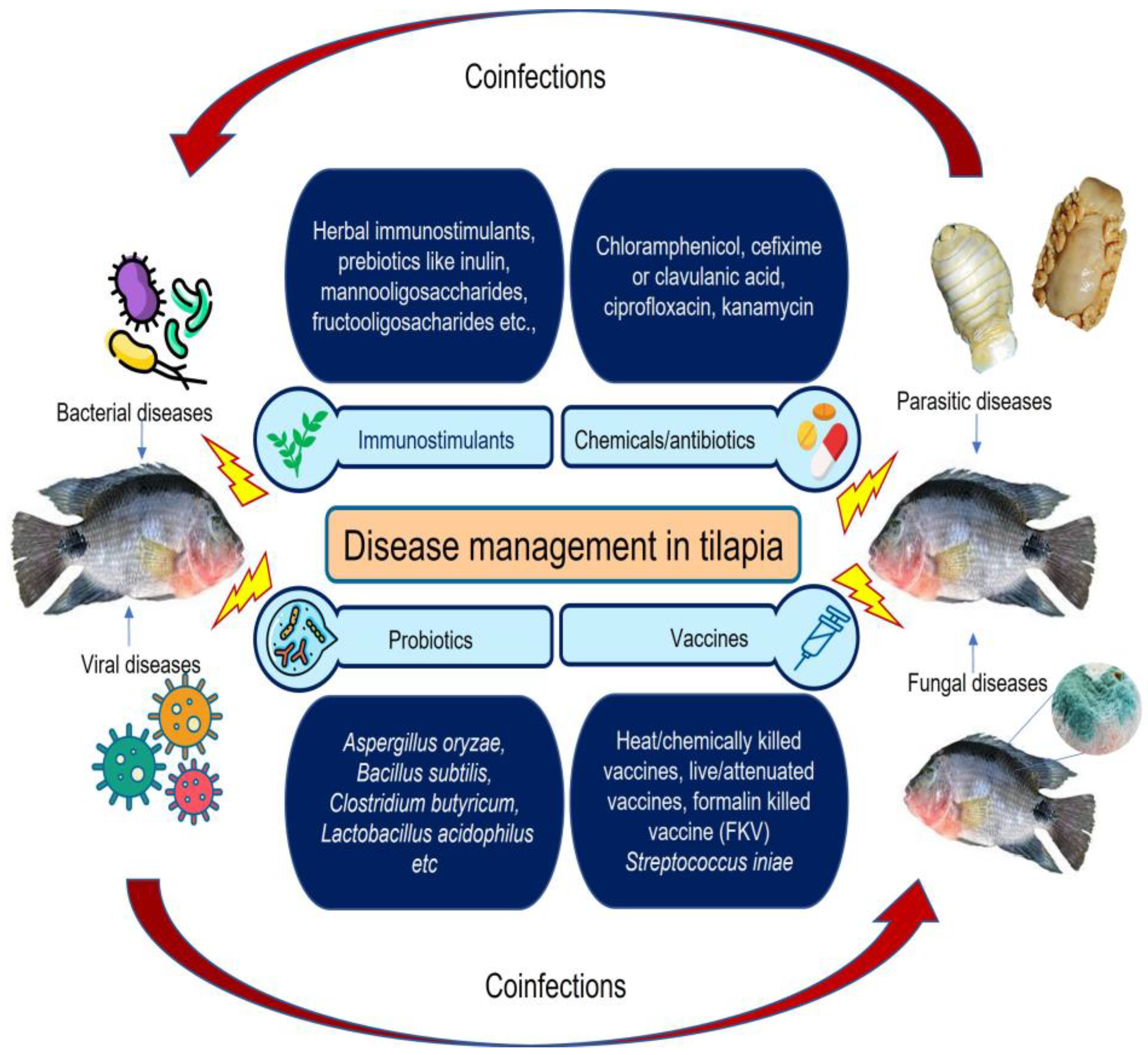 Fishes 08 00176 g006