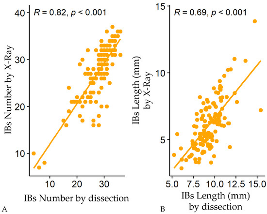 Fish Size Correlates to Size and Morphology of Intermuscular Fish Size Correlates to Size and Morphology of Intermuscular