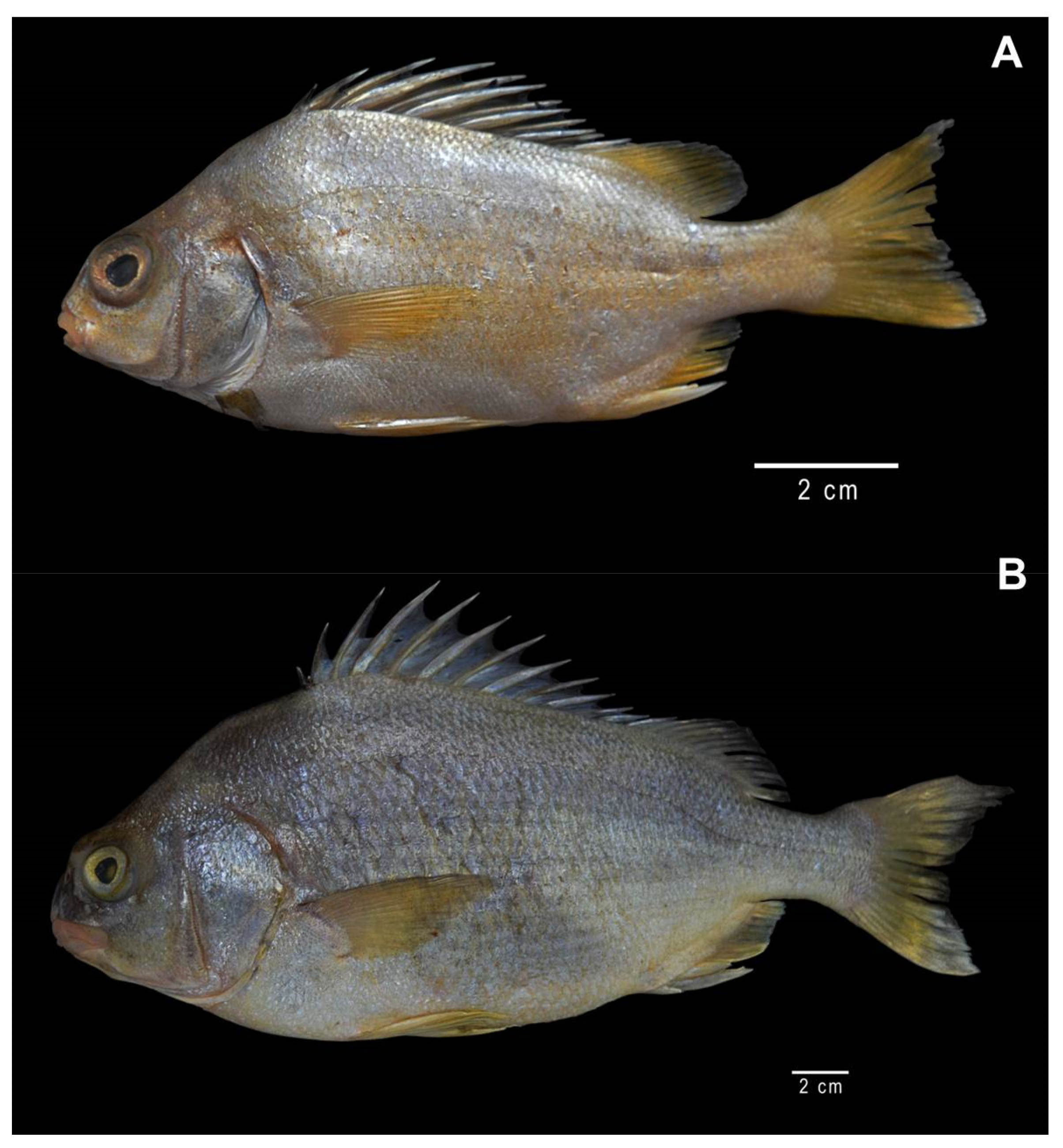 Fishes 08 00181 g001