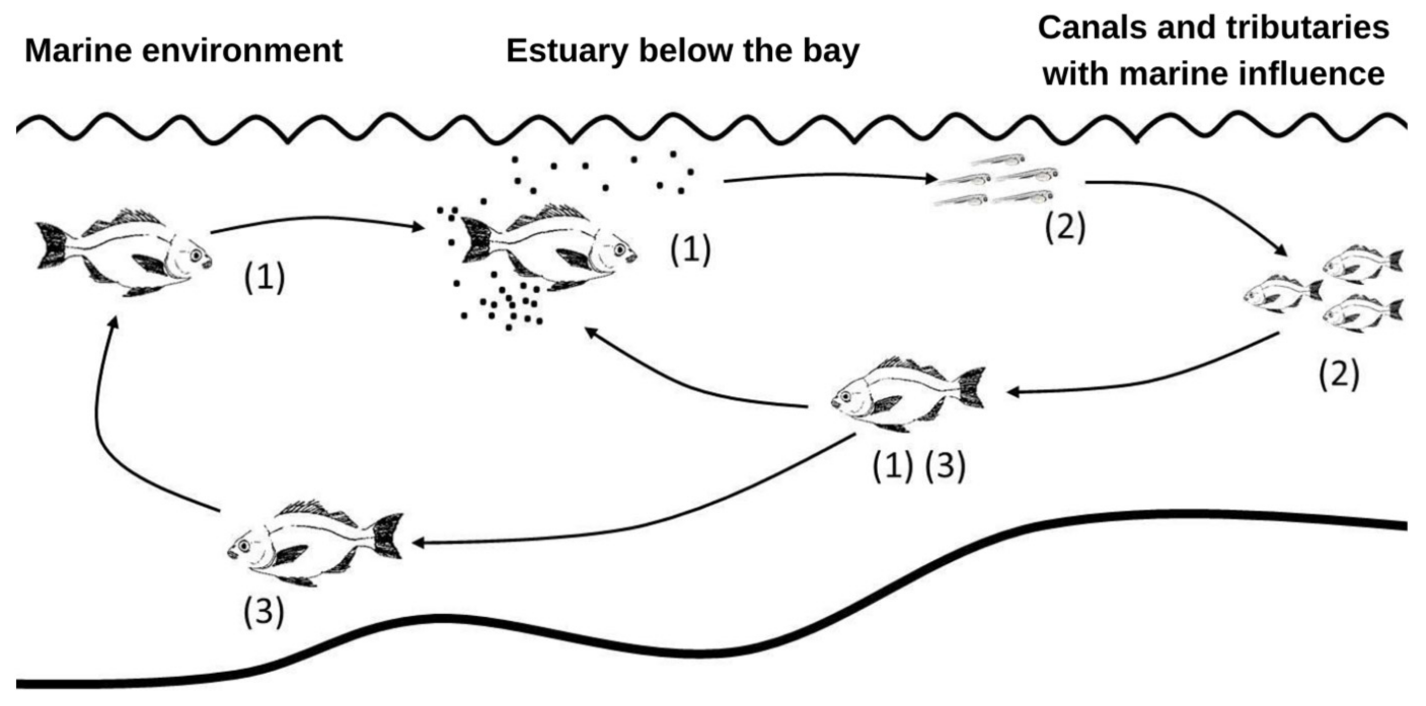 Fishes 08 00181 g008