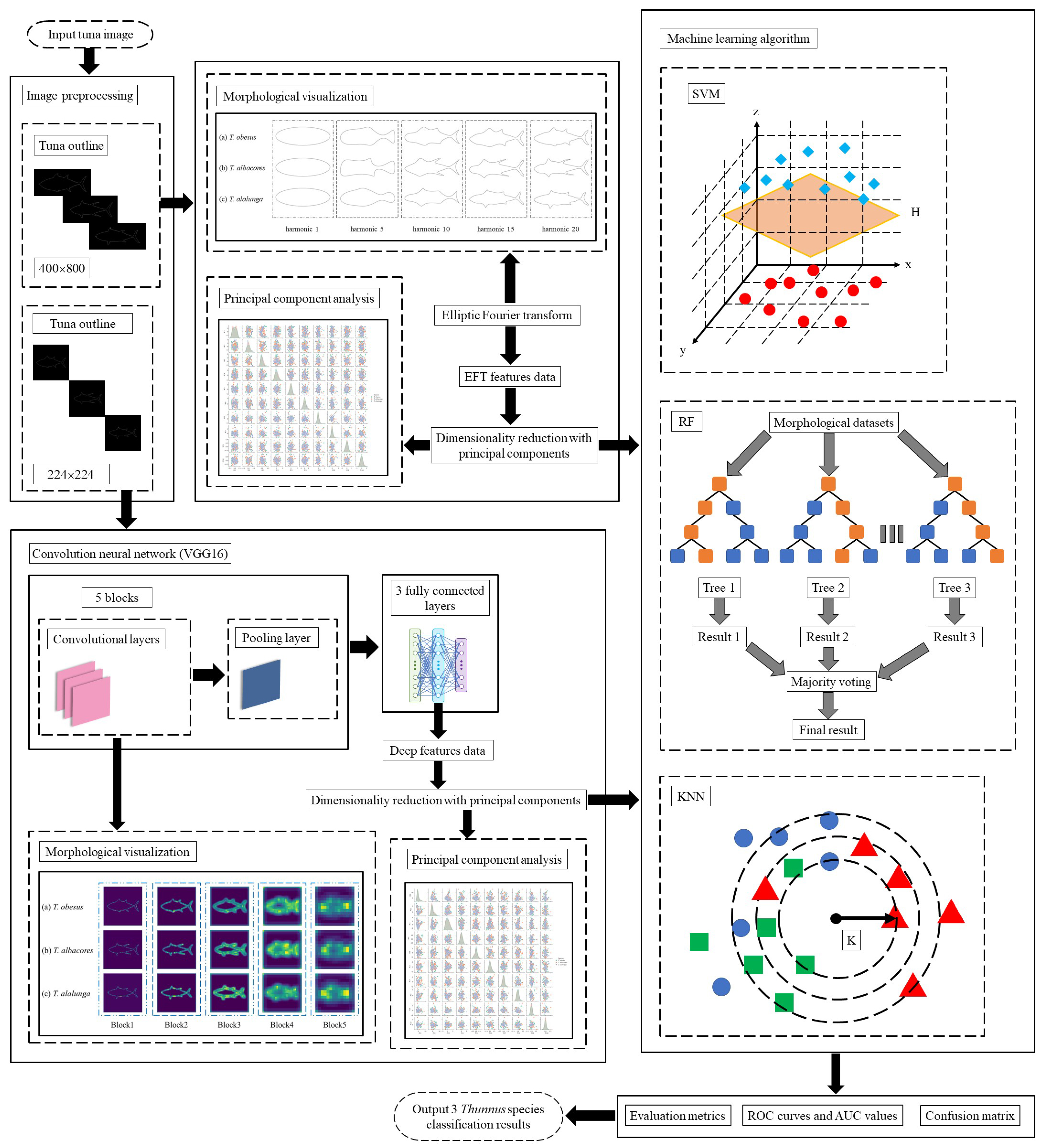 Fishes 08 00182 g002