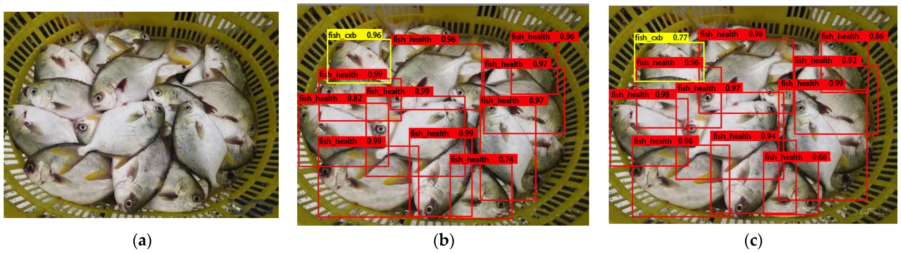 Fishes 08 00186 g006a