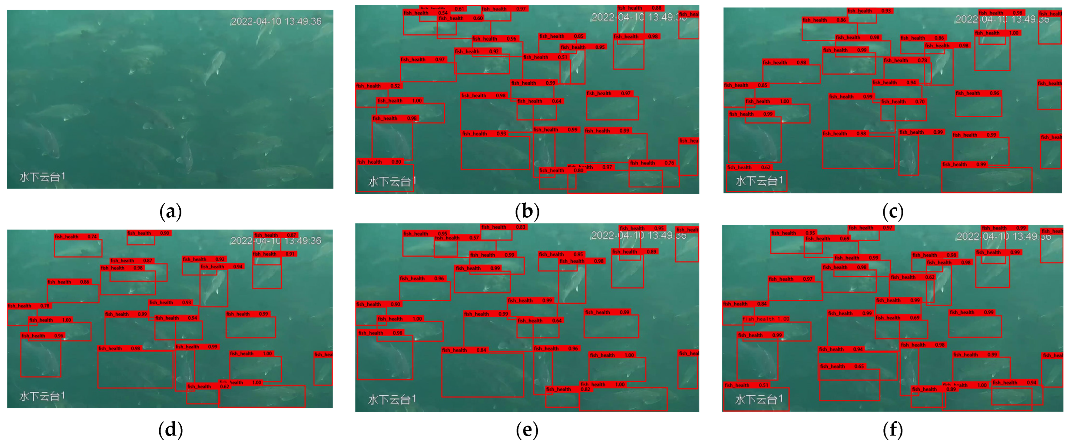 Fishes 08 00186 g008