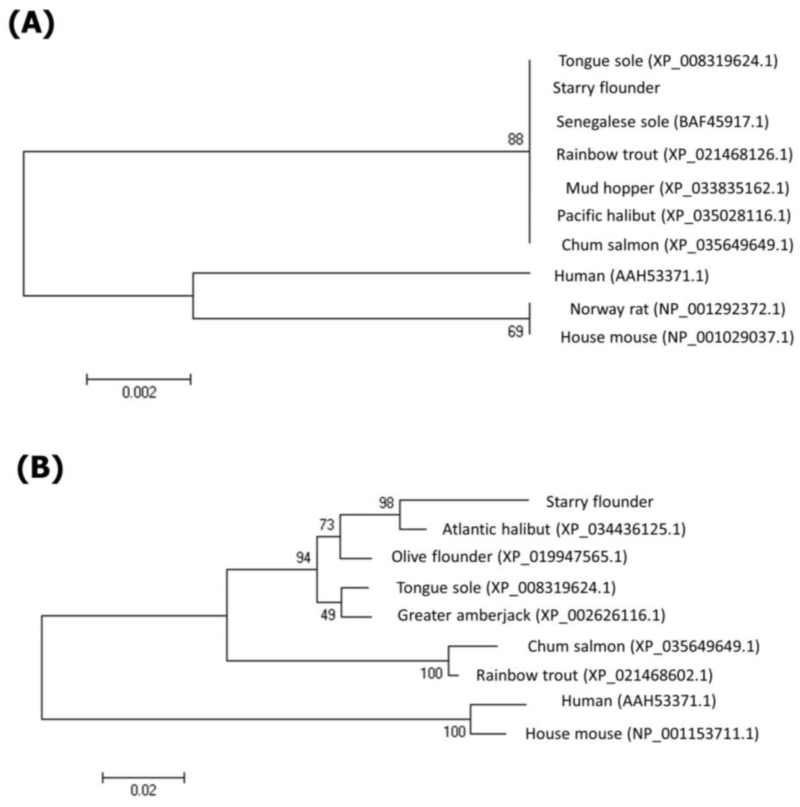 Fishes 08 00187 g003 Fishes 08 00187 g003