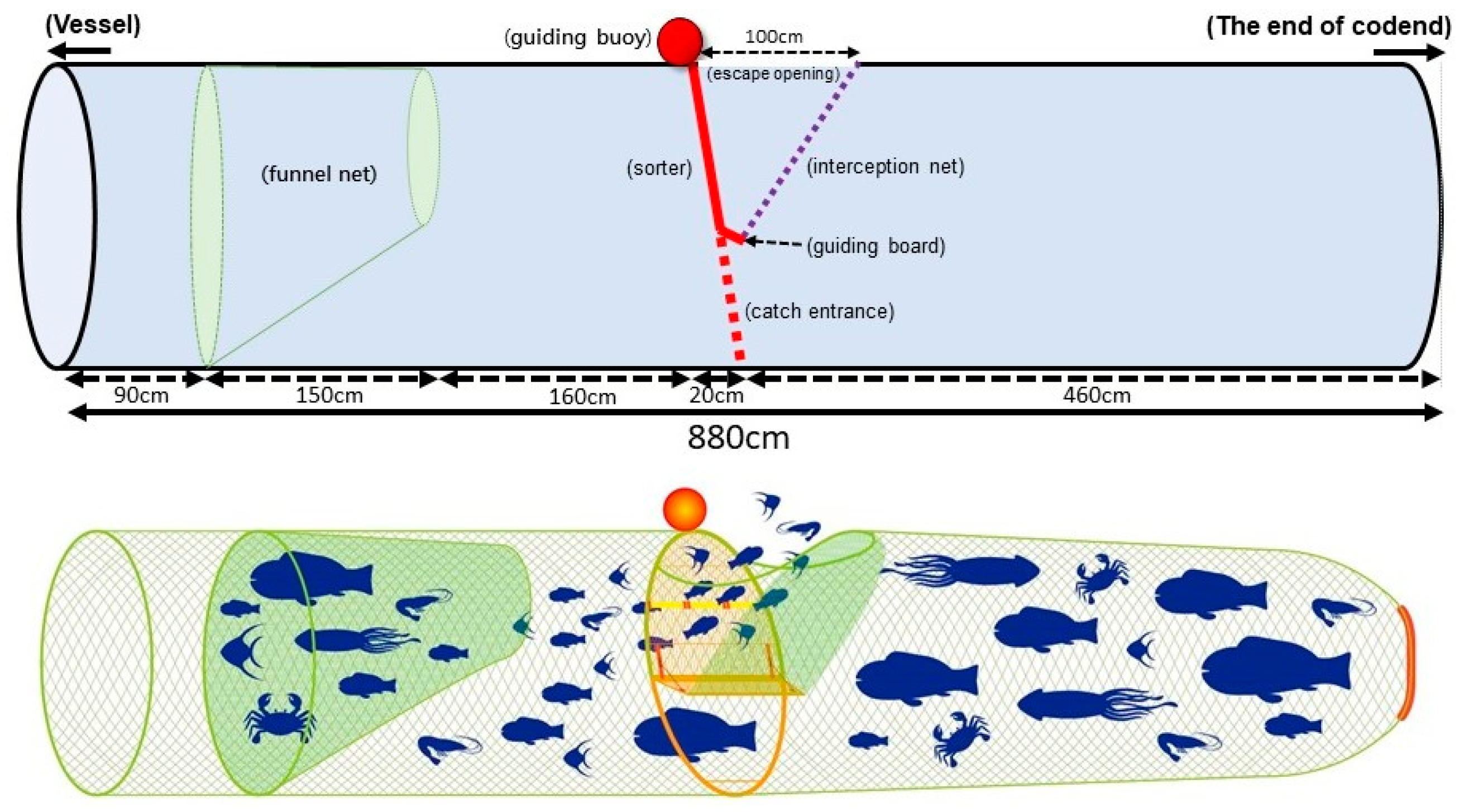 Fishes 08 00189 g001