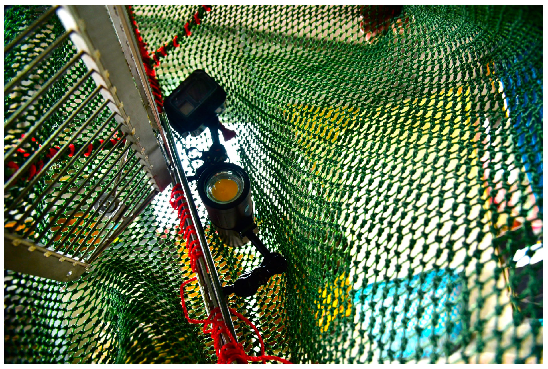 Fishes 08 00189 g006