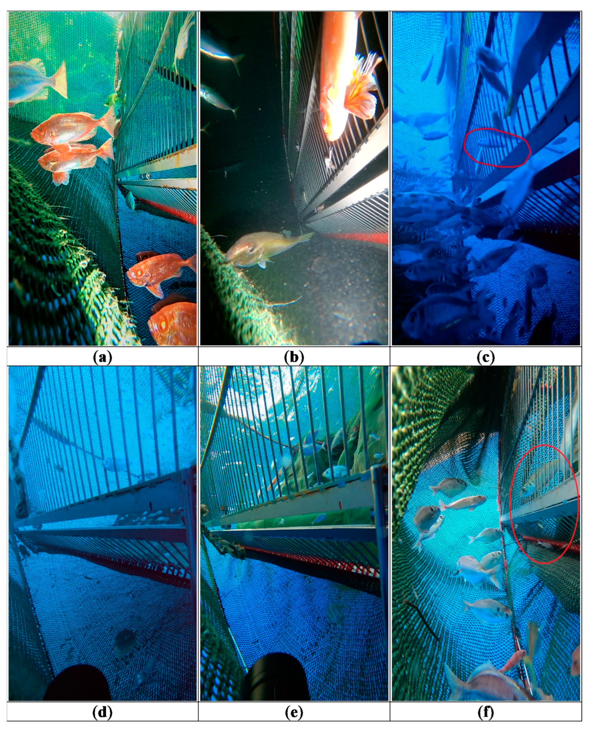 Fishes 08 00189 g008