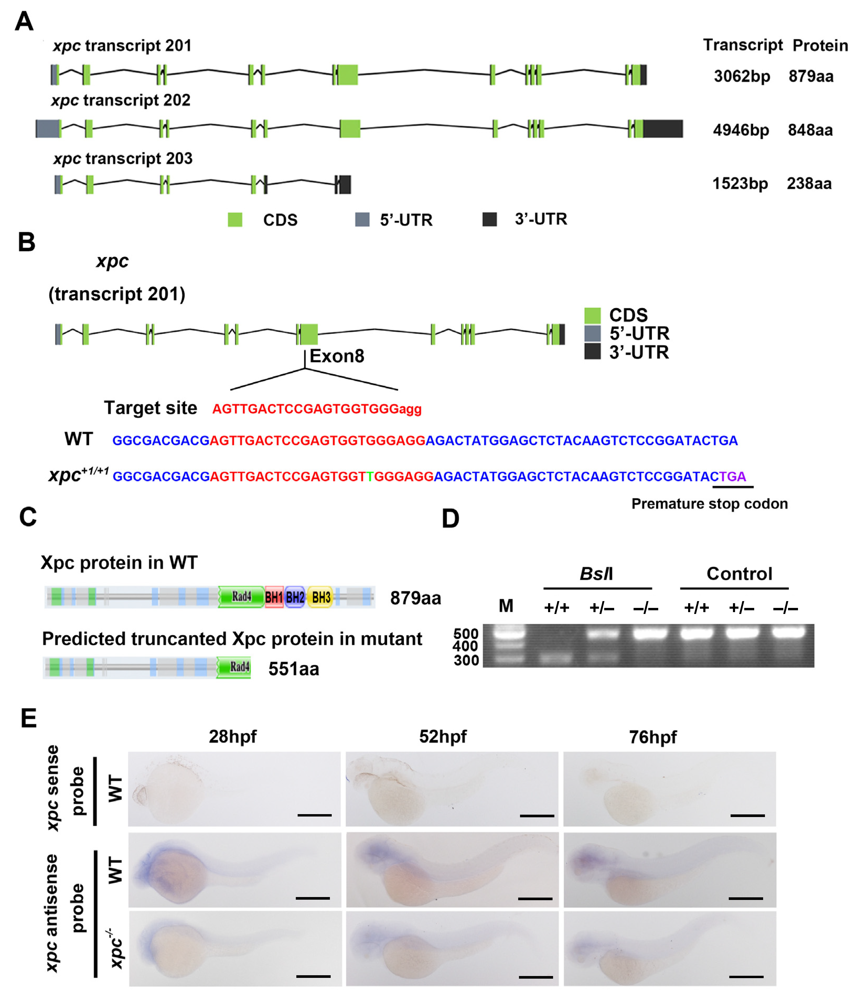 Fishes 08 00191 g001 Fishes 08 00191 g001