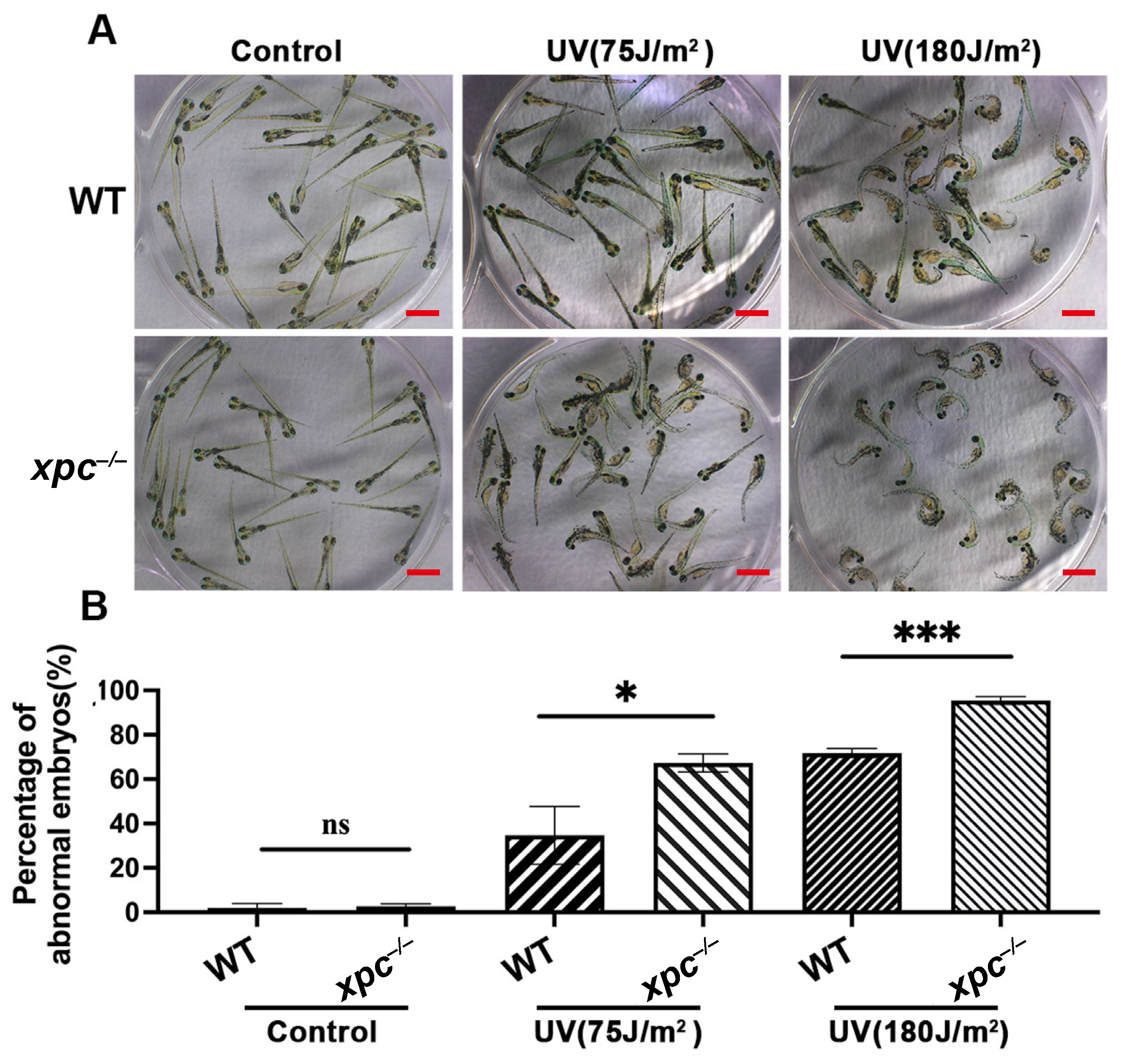 Fishes 08 00191 g002 Fishes 08 00191 g002