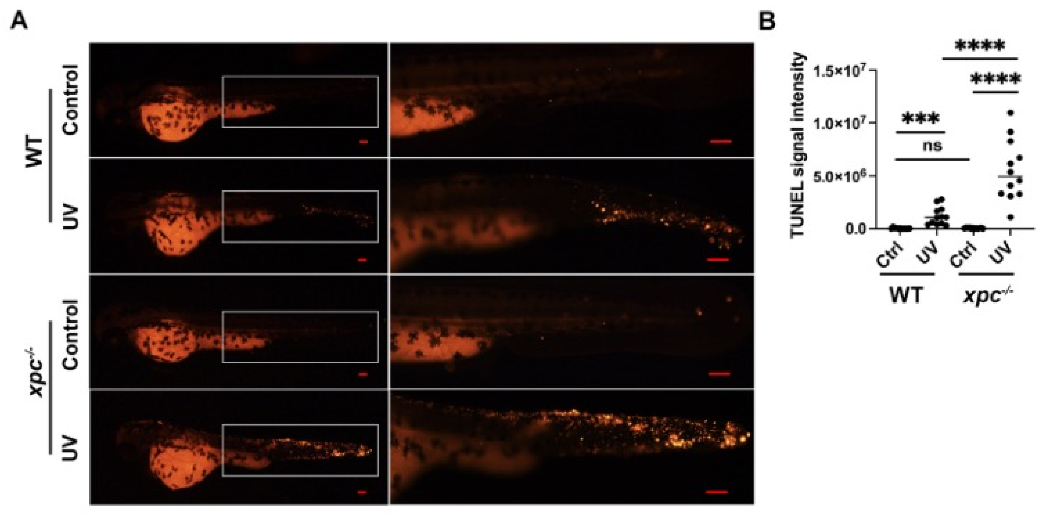 Fishes 08 00191 g004 Fishes 08 00191 g004