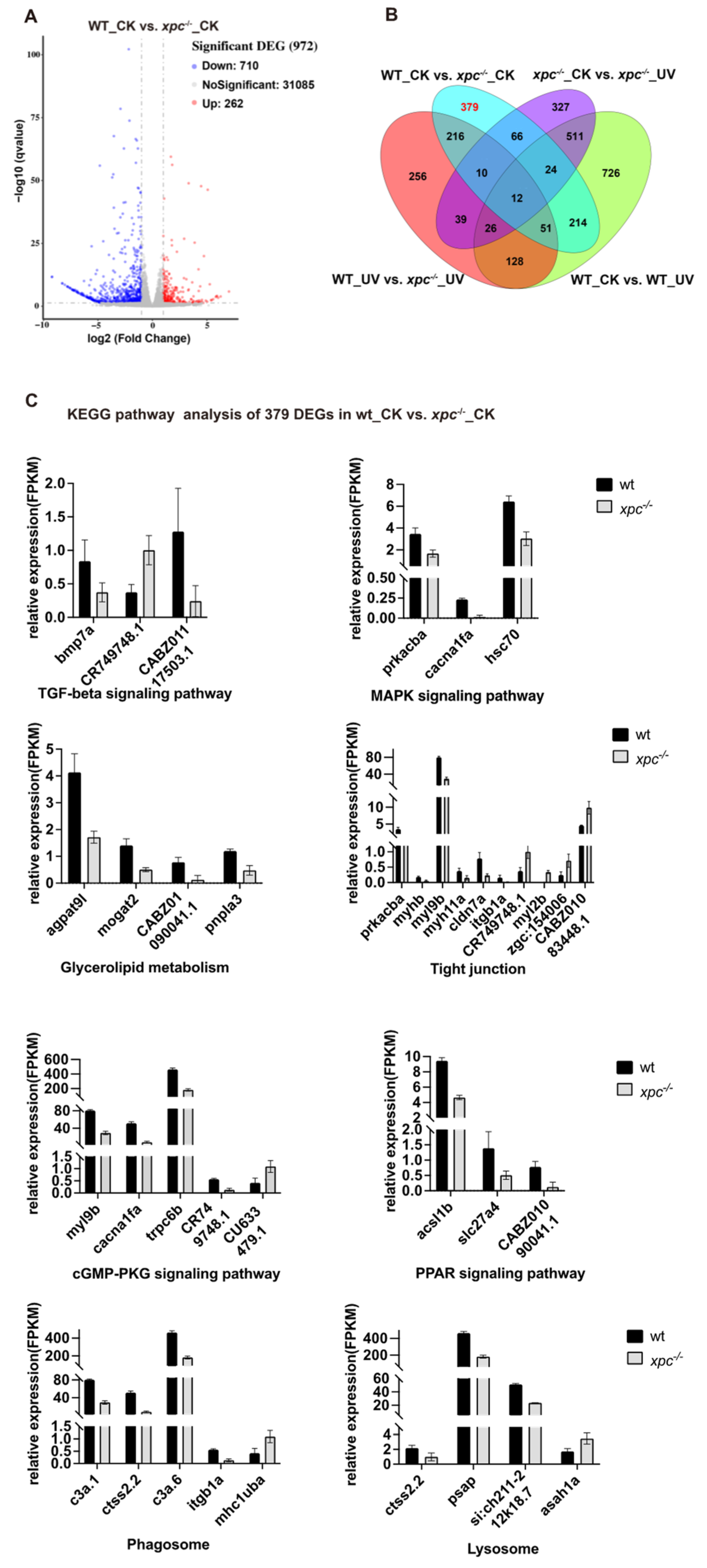 Fishes 08 00191 g006 Fishes 08 00191 g006
