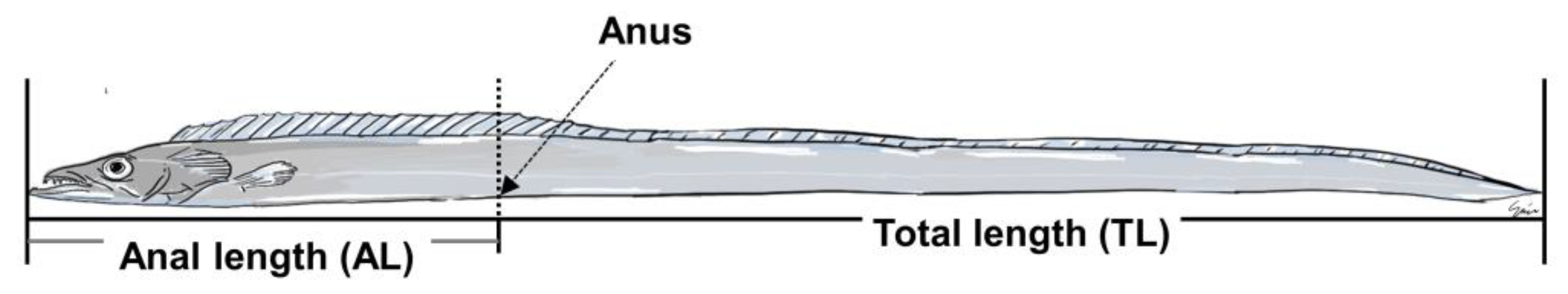 Fishes 08 00194 g002