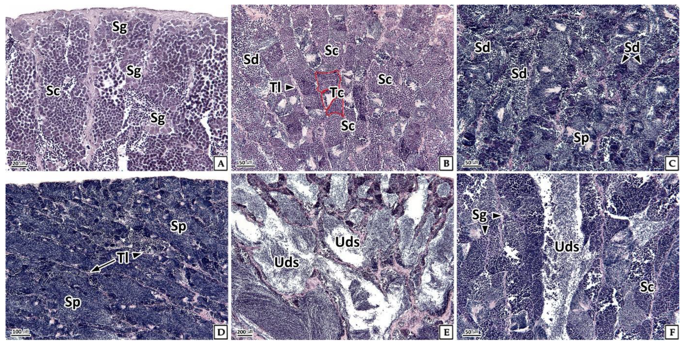 Fishes 08 00194 g005