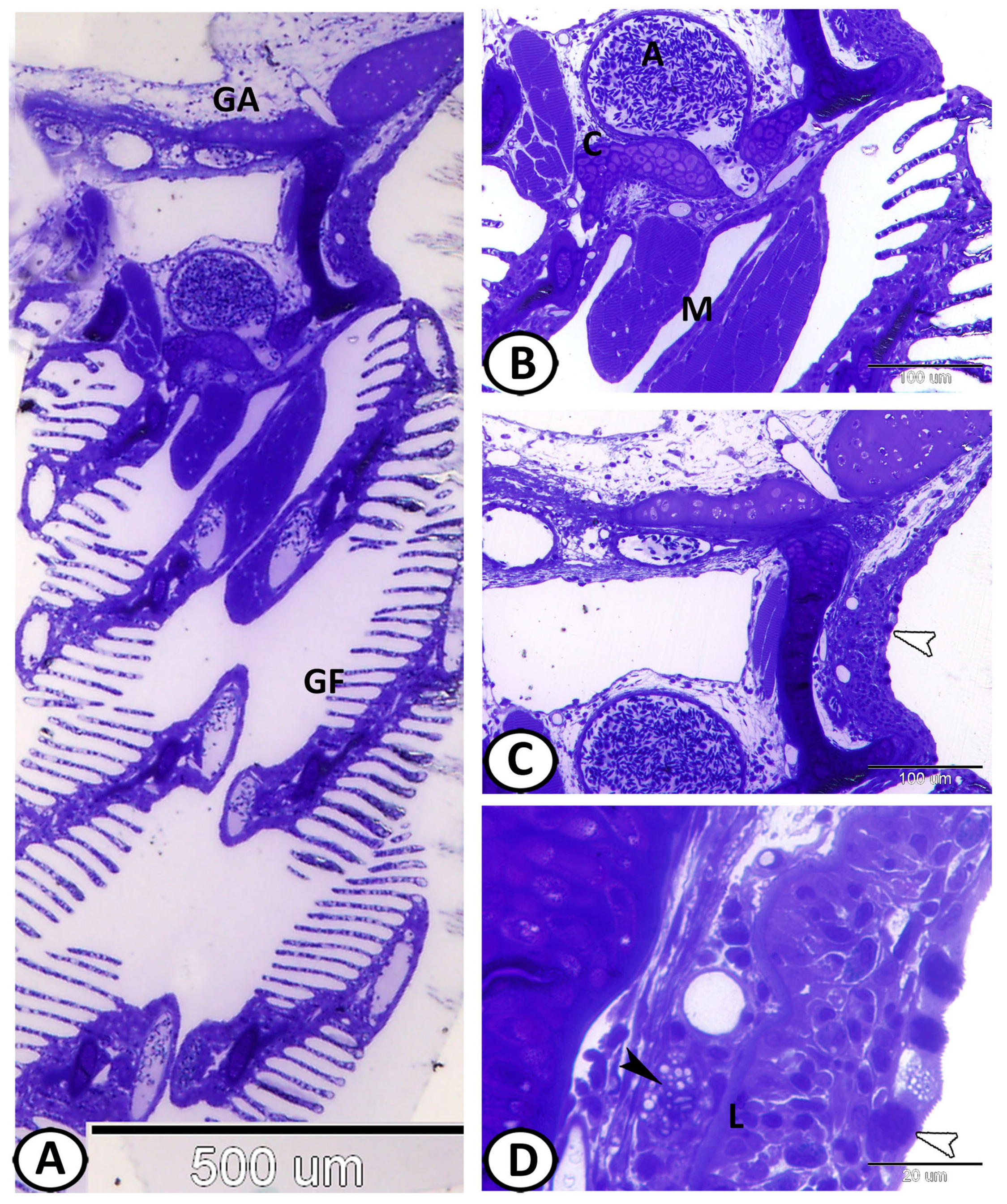 Fishes 08 00195 g002