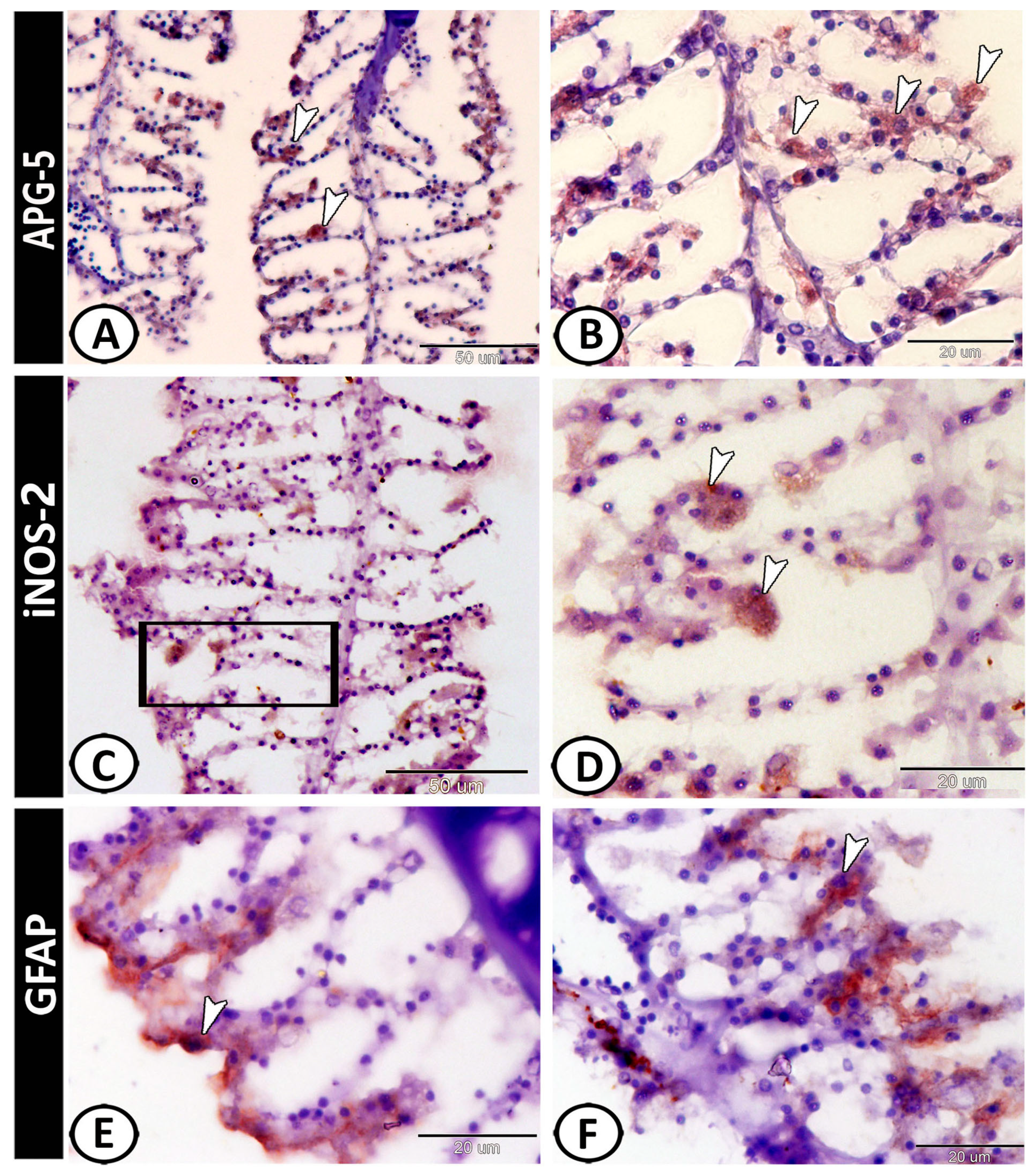 Fishes 08 00195 g004