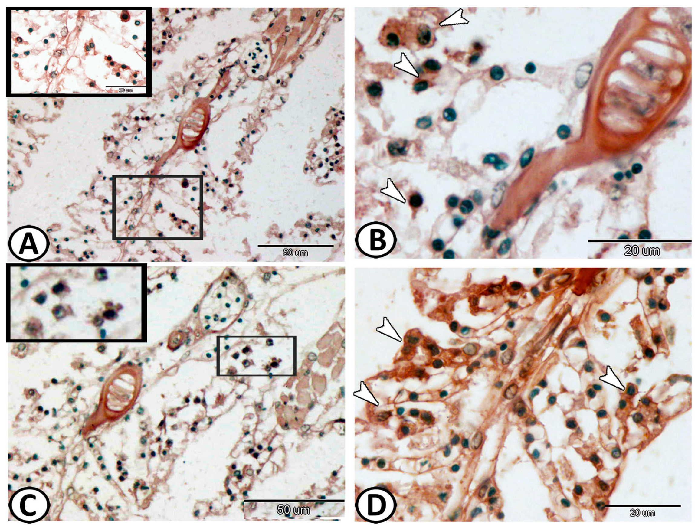 Fishes 08 00195 g007