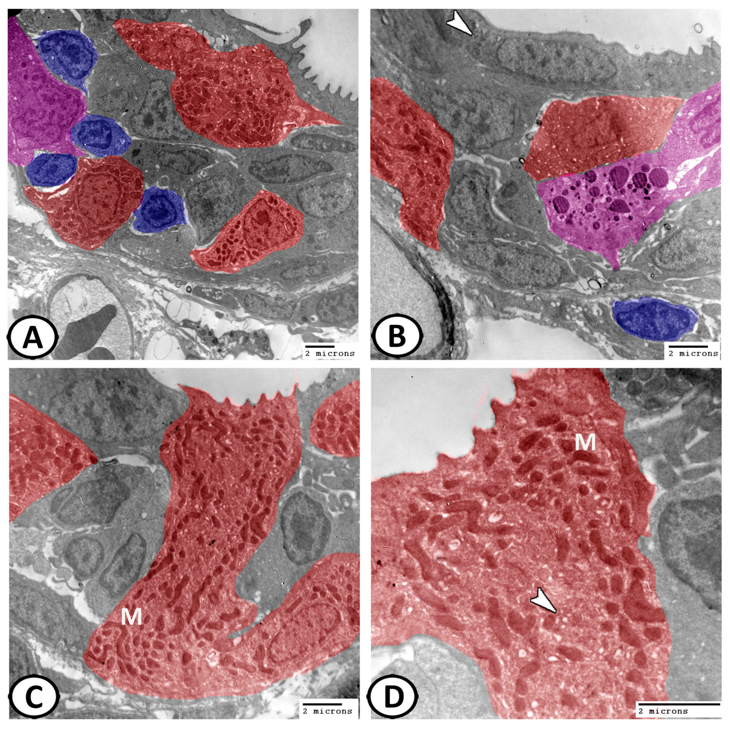 Fishes 08 00195 g008