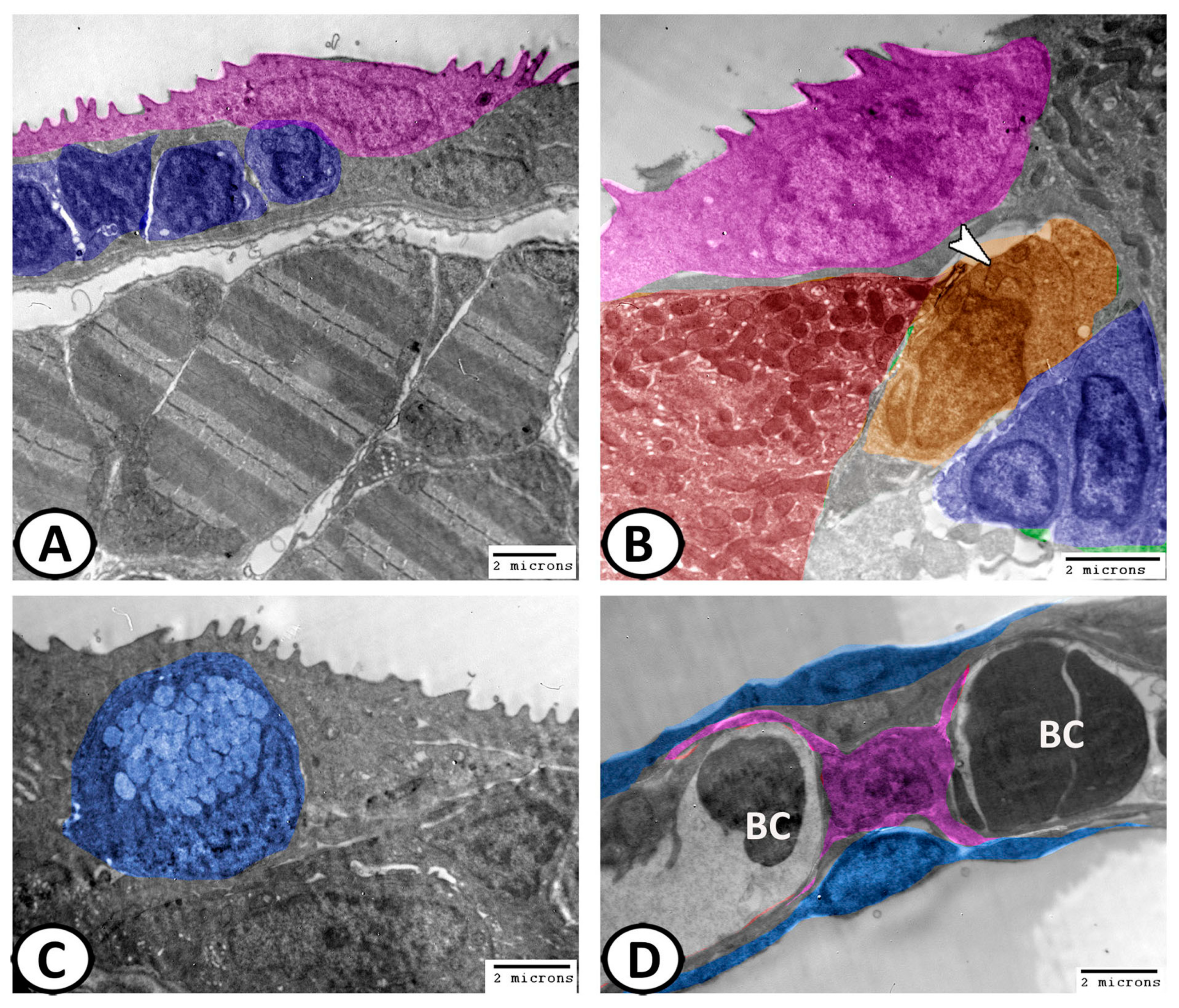 Fishes 08 00195 g009