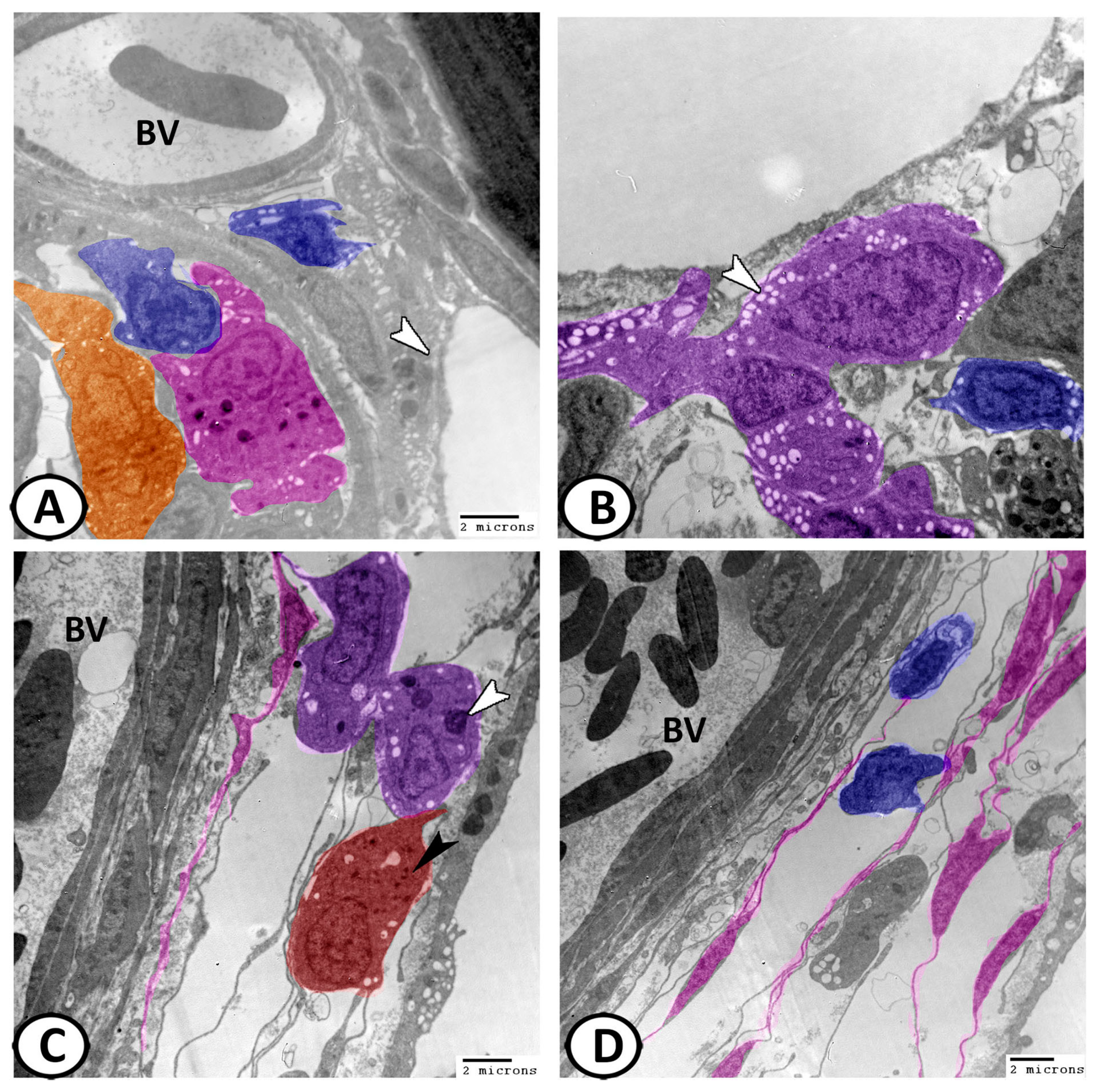 Fishes 08 00195 g010