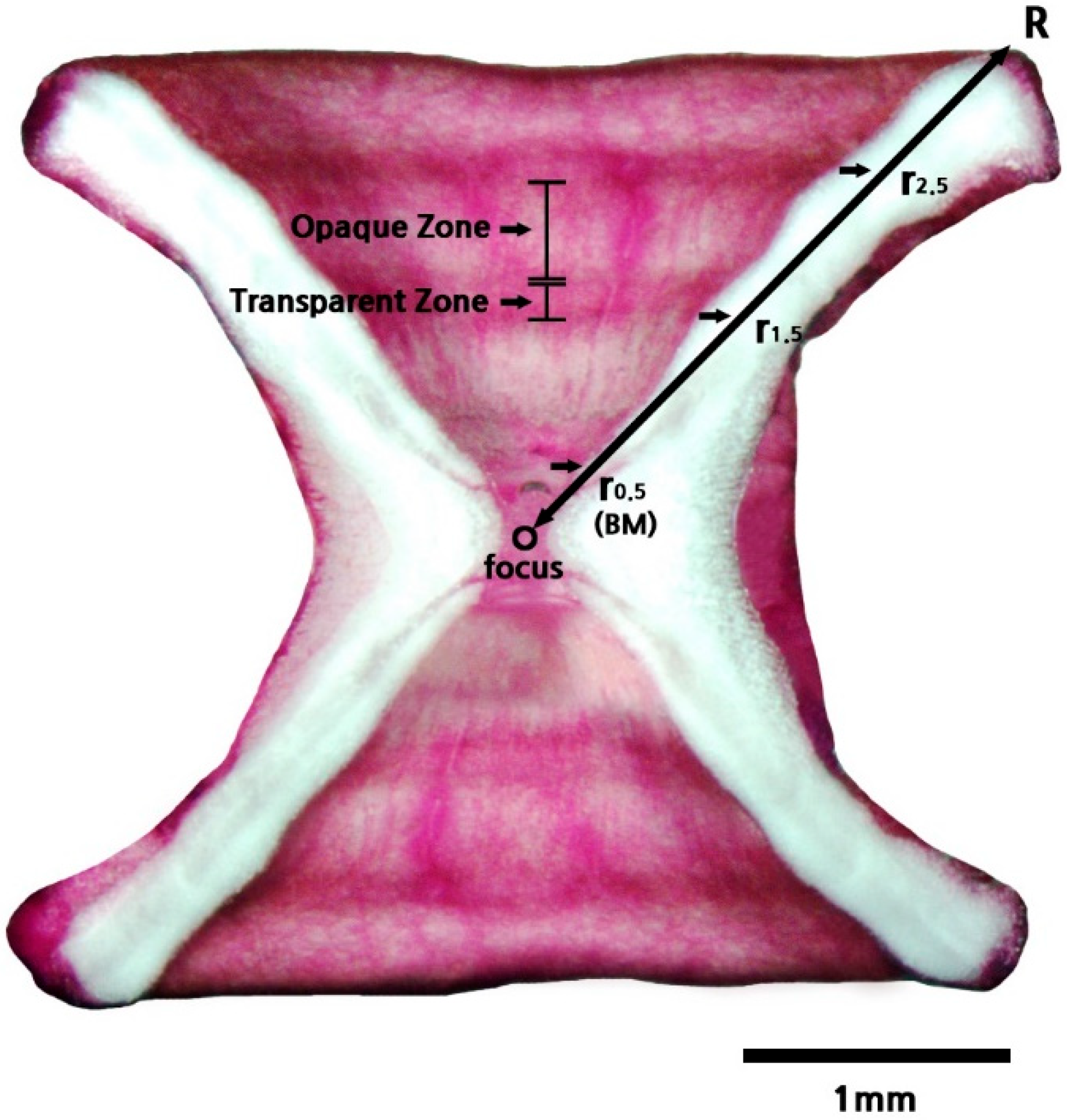 Fishes 08 00197 g003