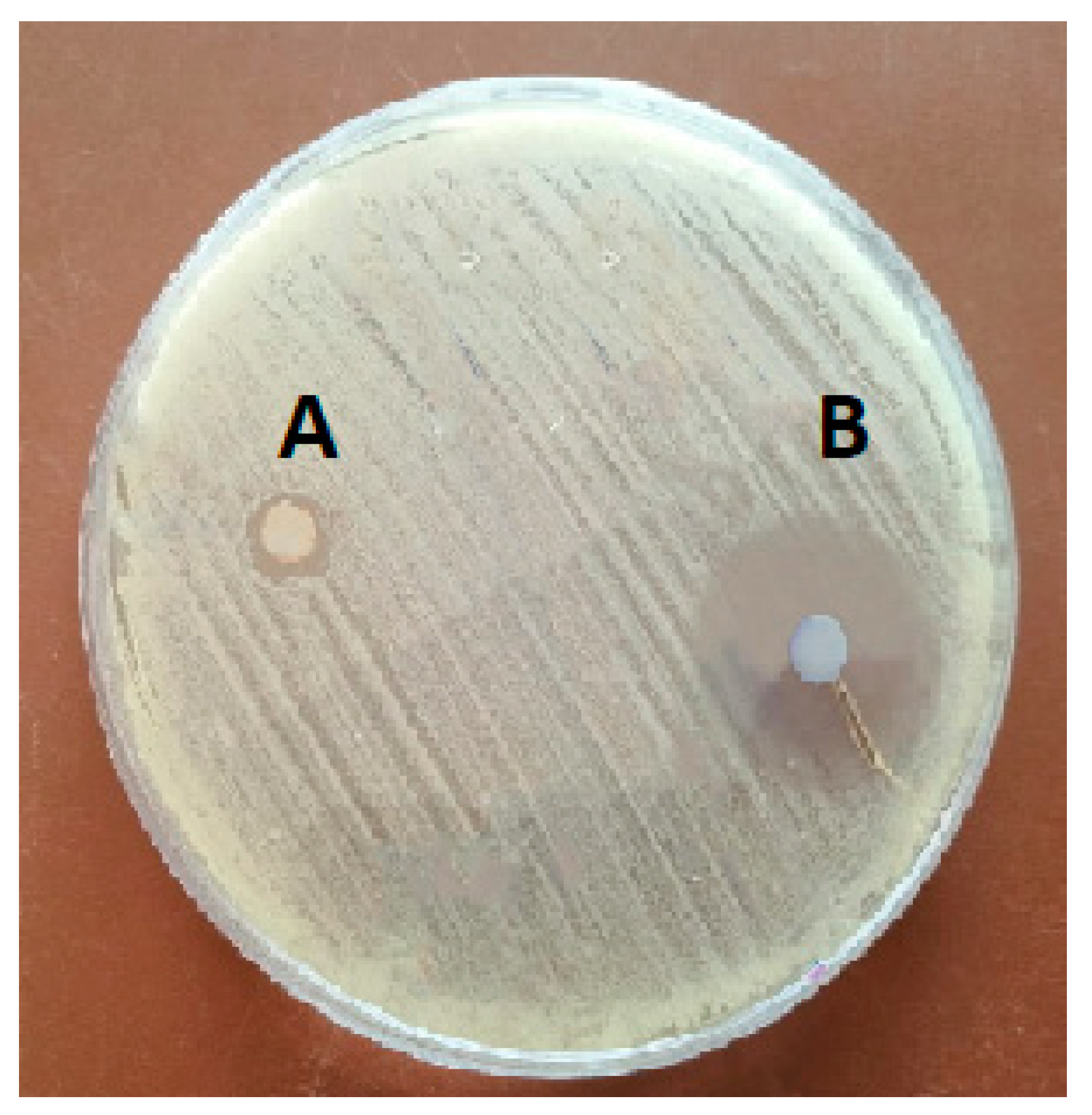 Fishes 08 00199 g001