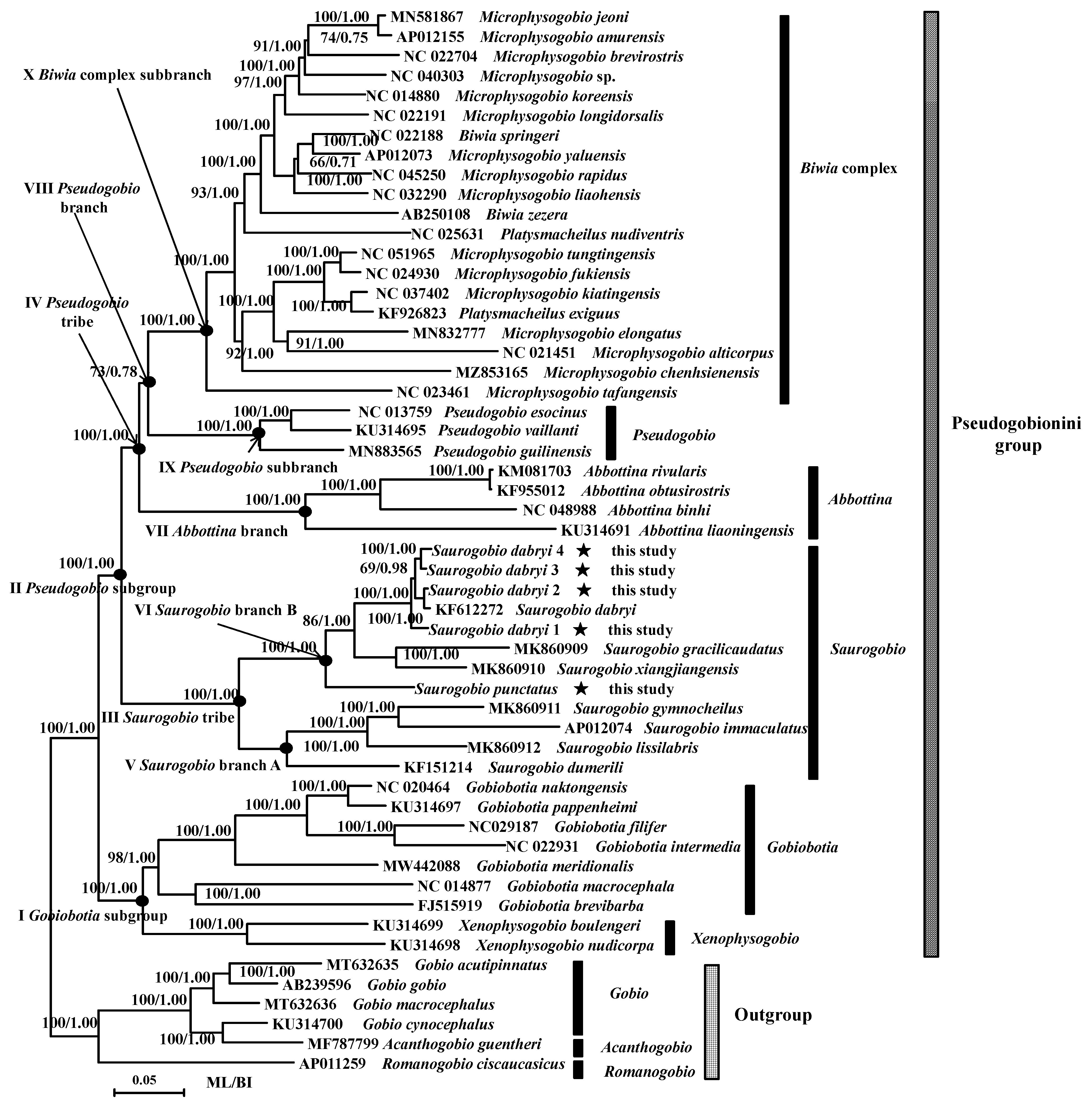 Fishes 08 00201 g001 Fishes 08 00201 g001