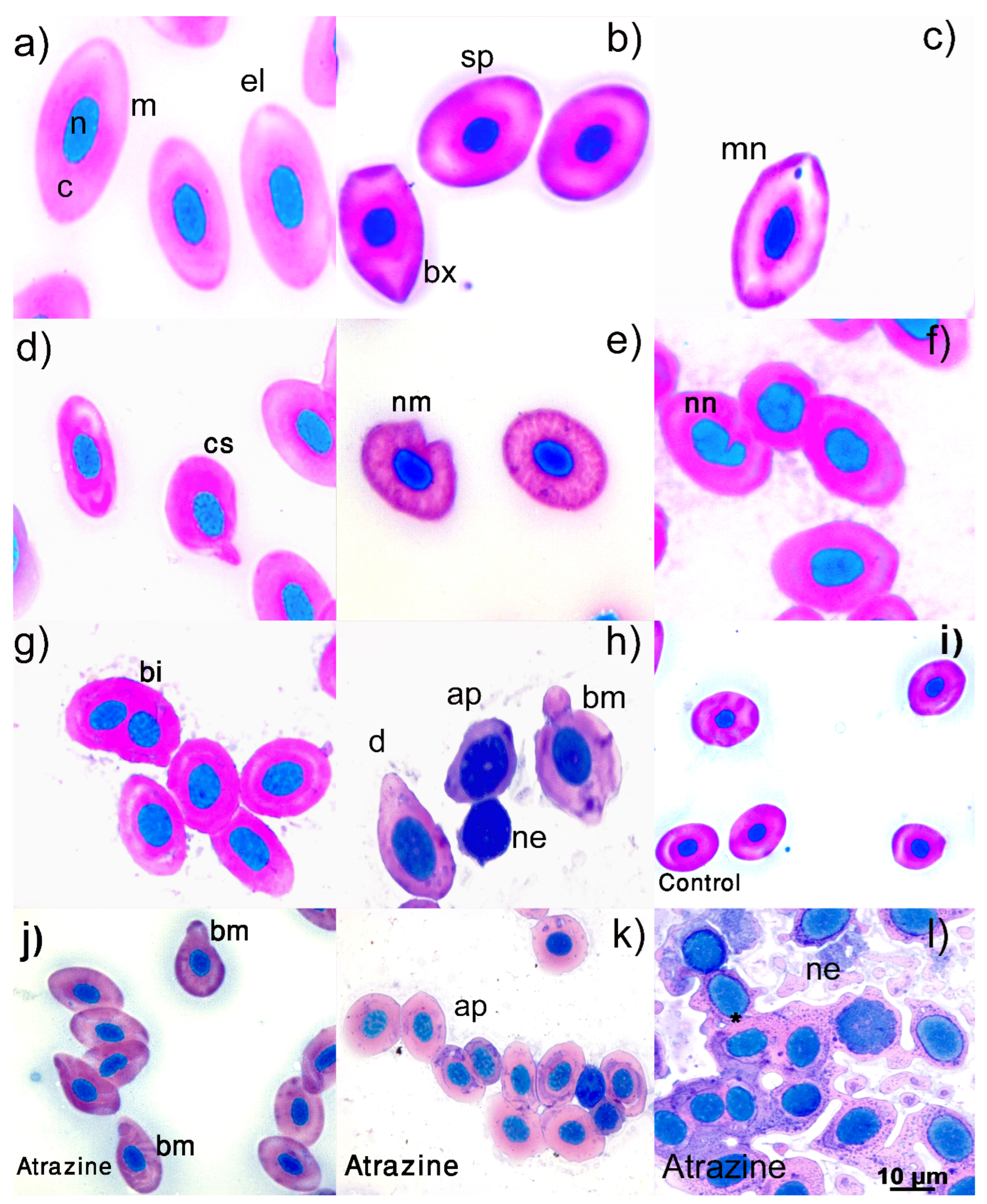 Fishes 08 00207 g001