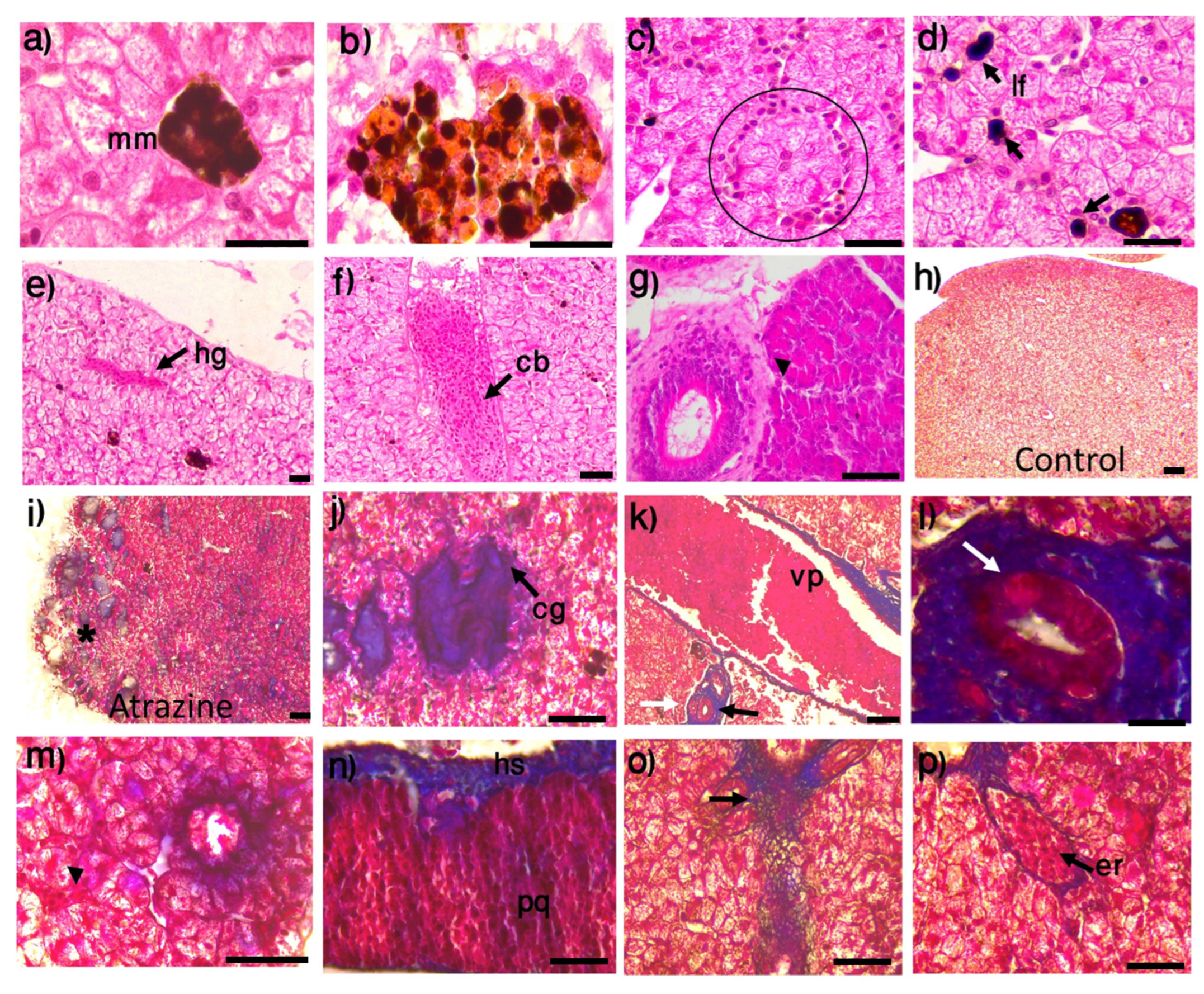 Fishes 08 00207 g004
