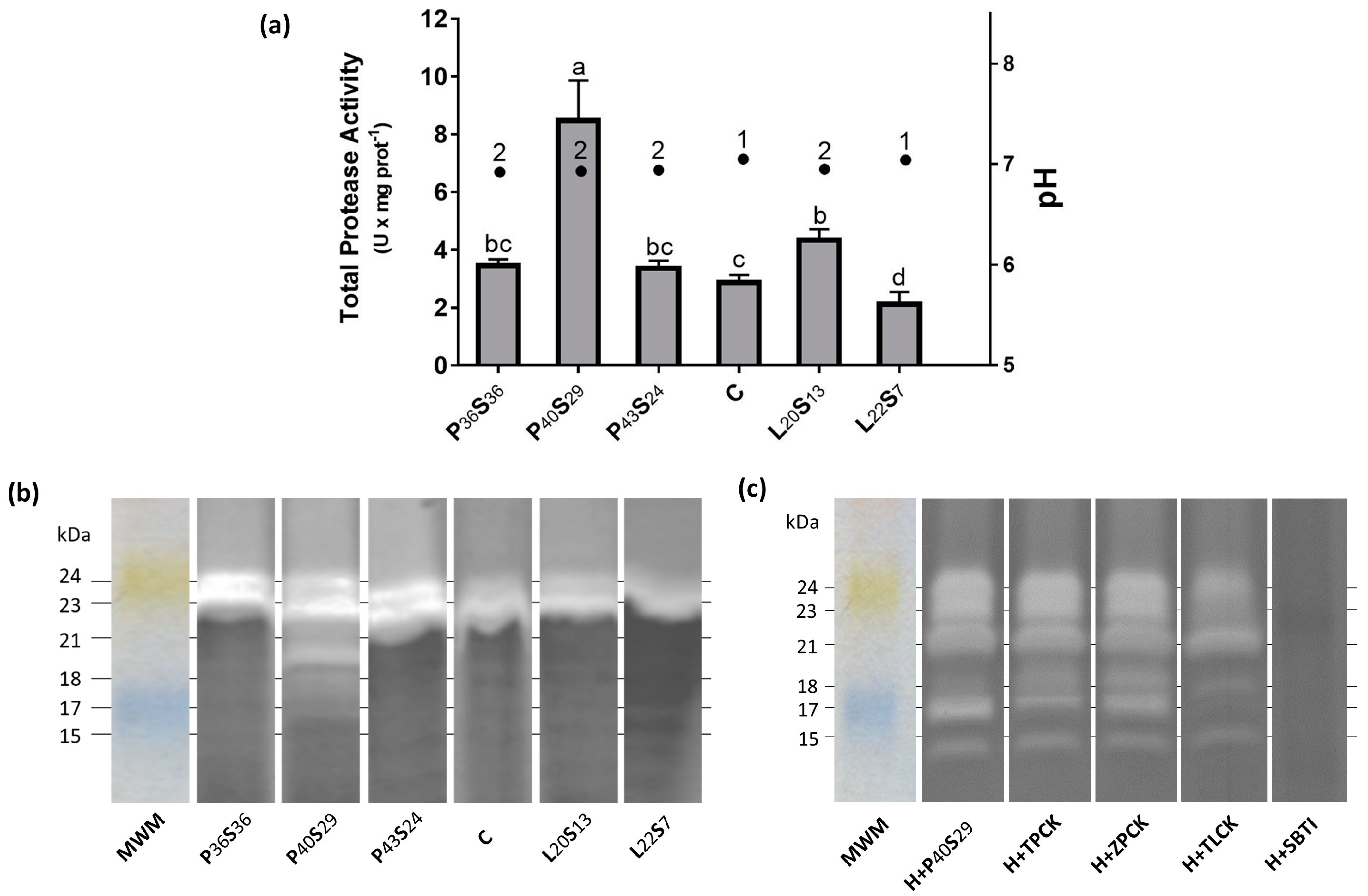 Fishes 08 00223 g001