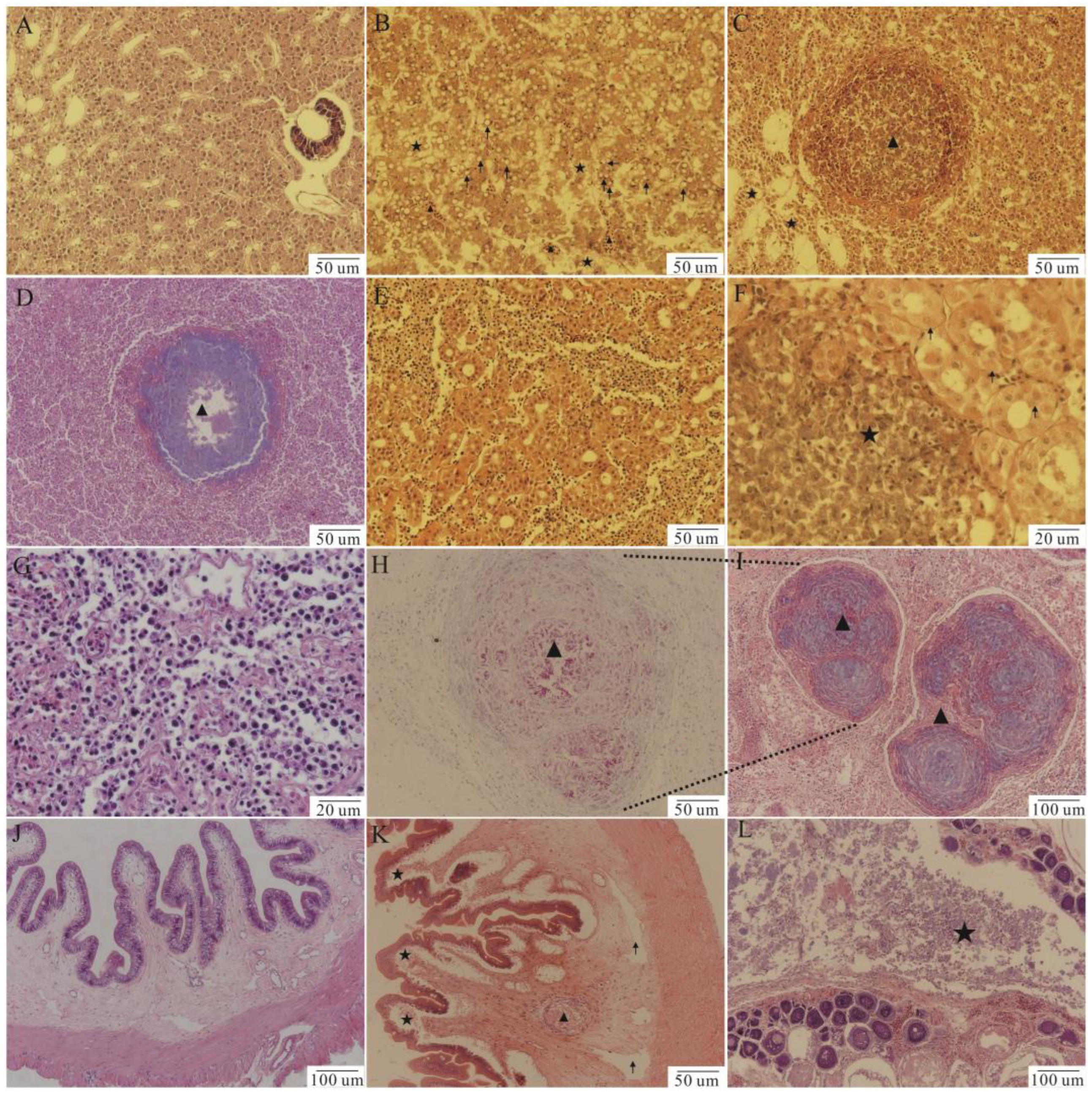 Fishes 08 00225 g002 Fishes 08 00225 g002