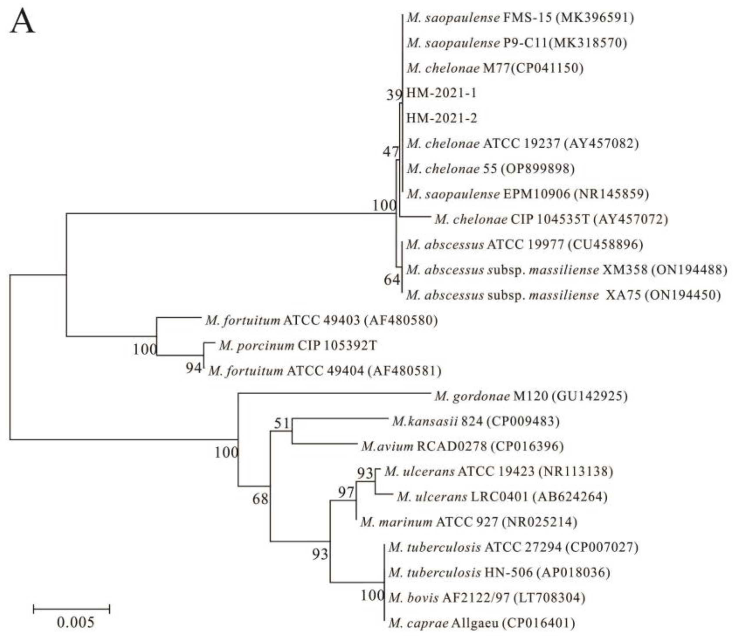 Fishes 08 00225 g003a Fishes 08 00225 g003a
