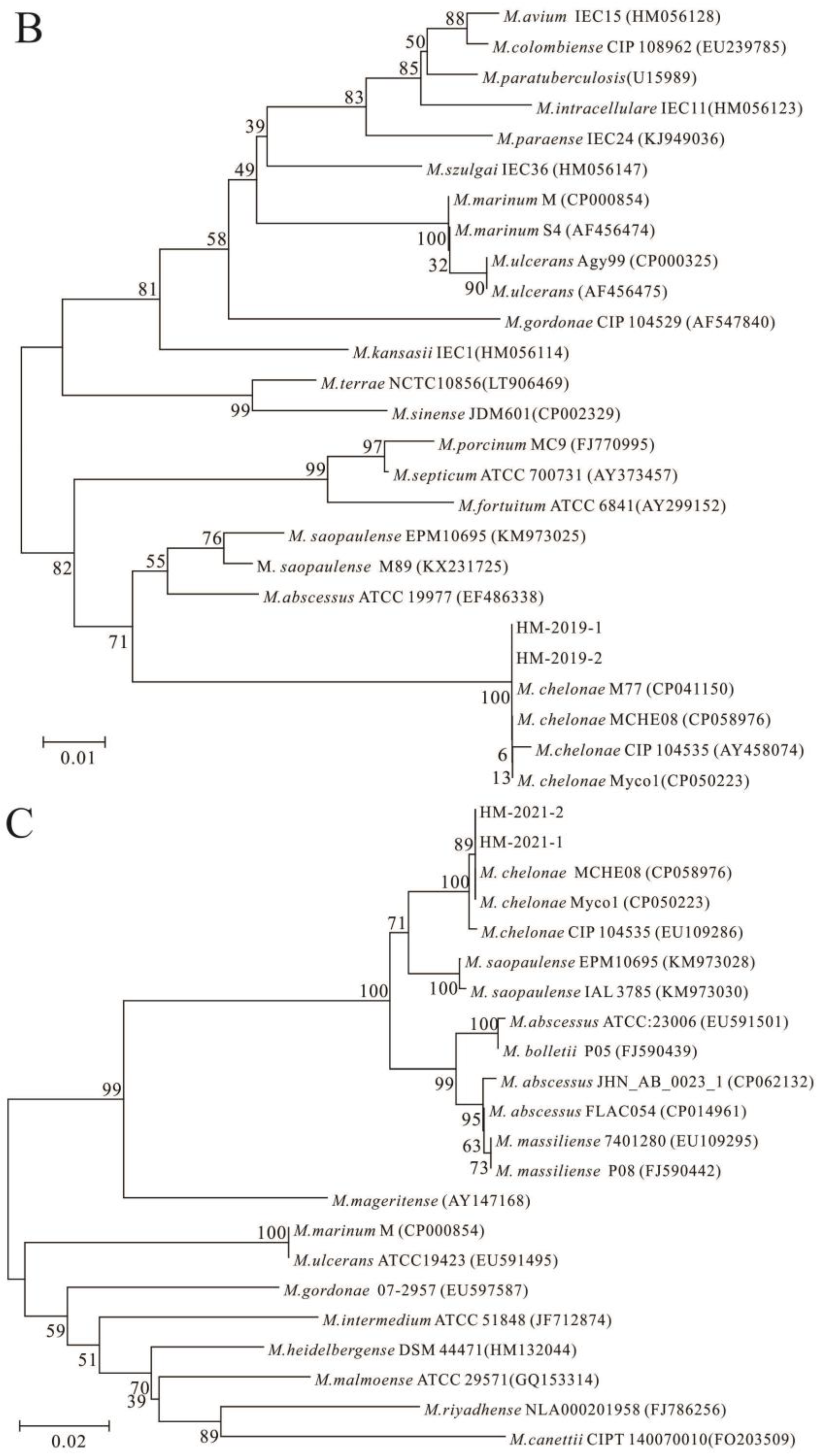Fishes 08 00225 g003b Fishes 08 00225 g003b