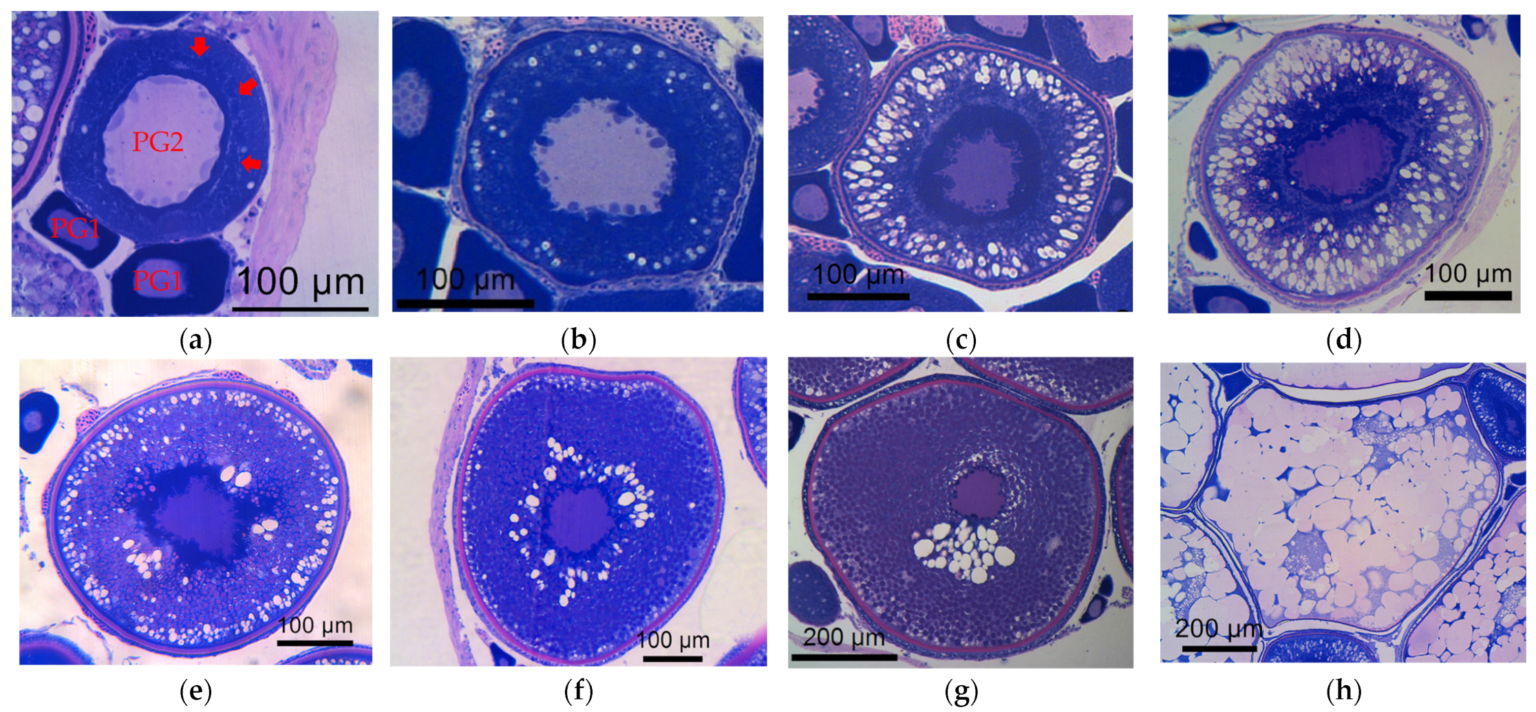 Fishes 08 00226 g002