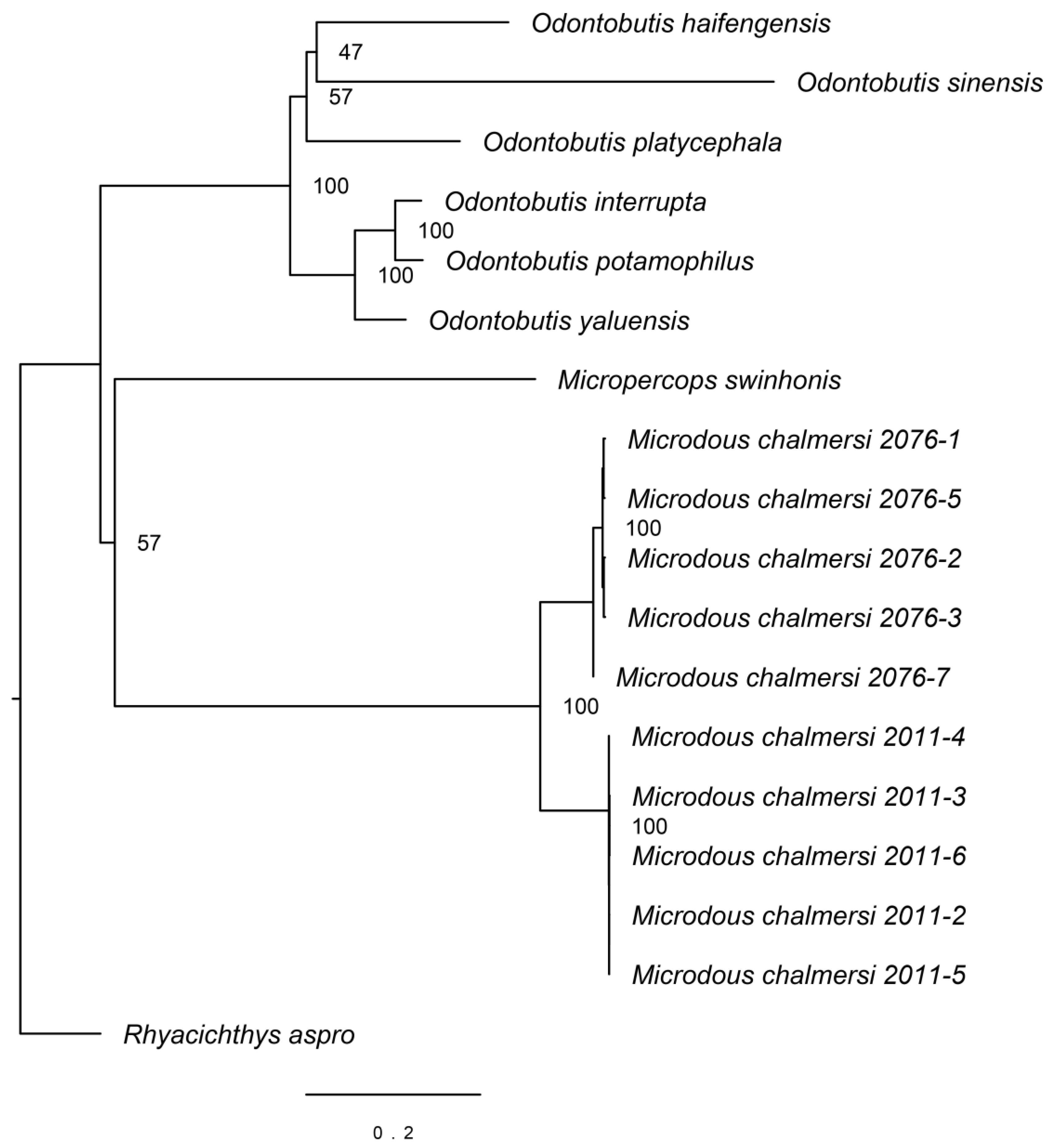 Fishes 08 00228 g003