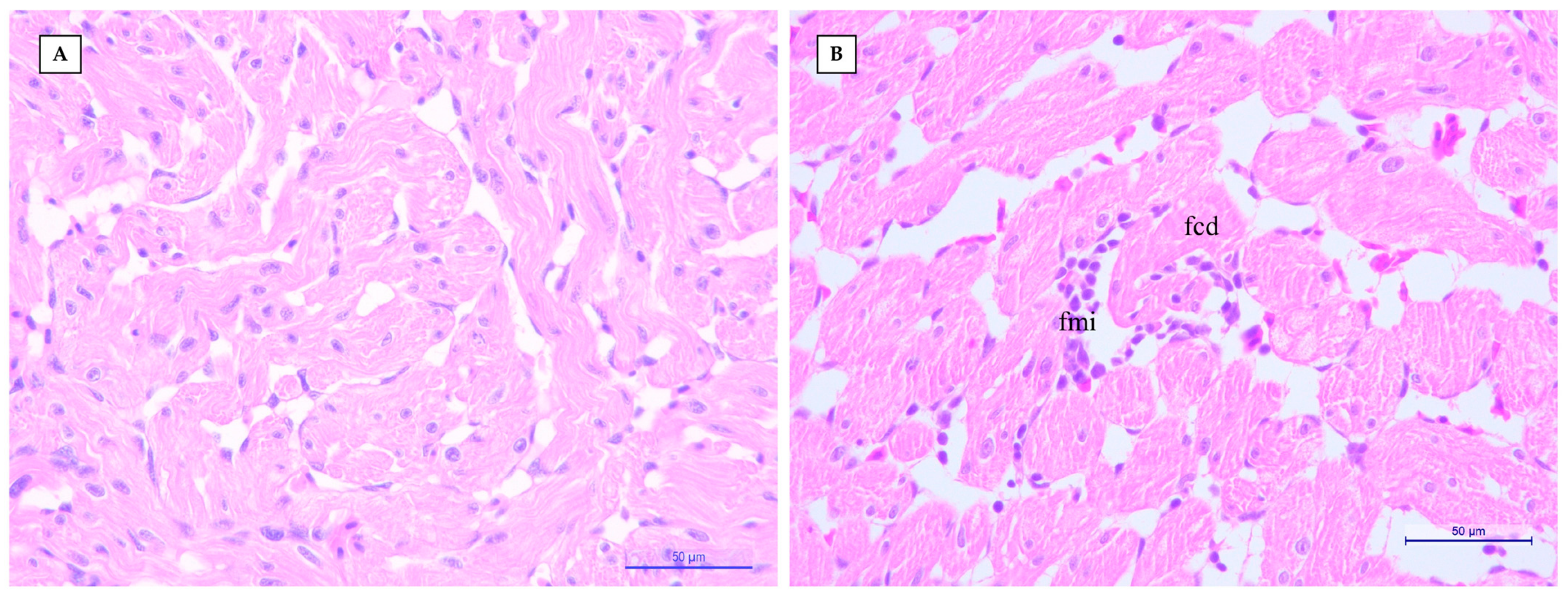 Fishes 08 00229 g001