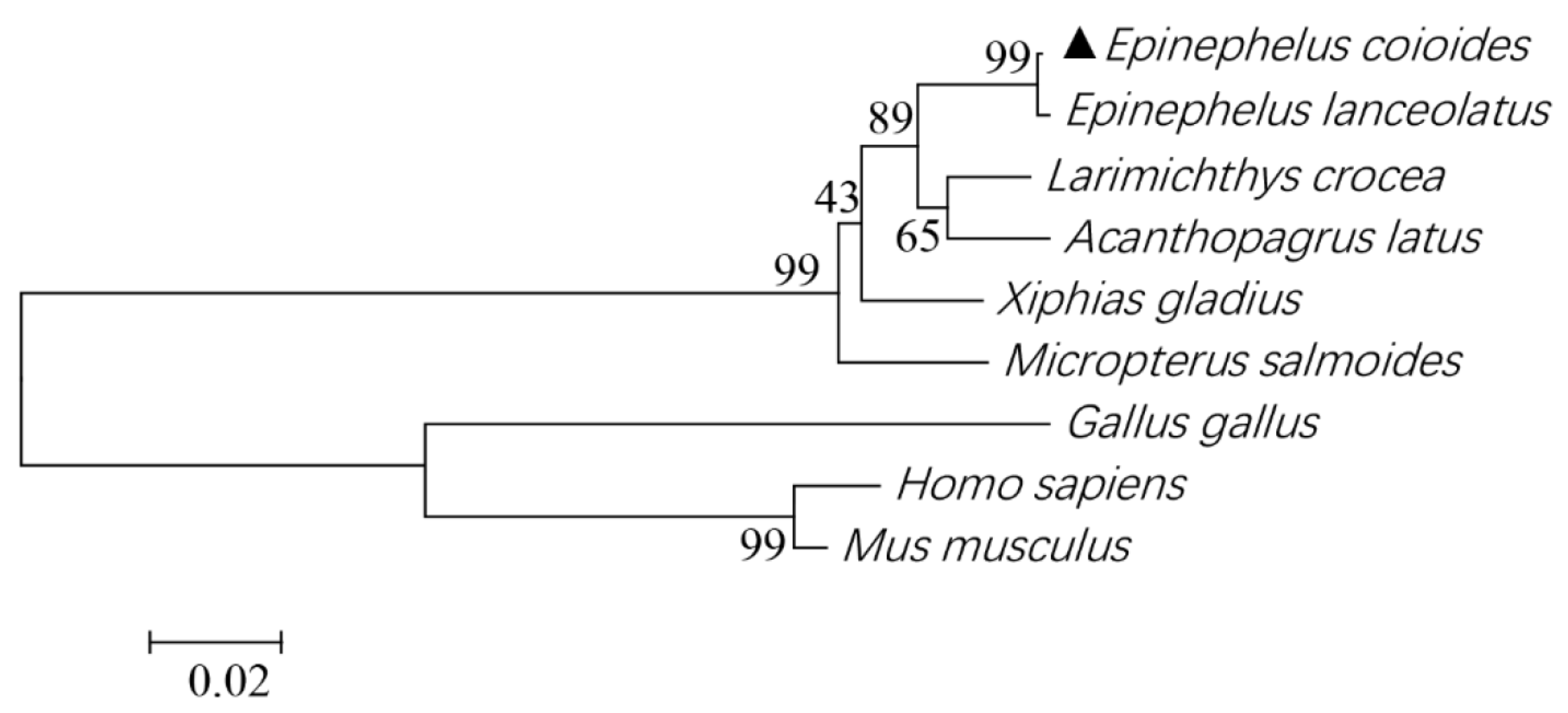 Fishes 08 00231 g002 Fishes 08 00231 g002
